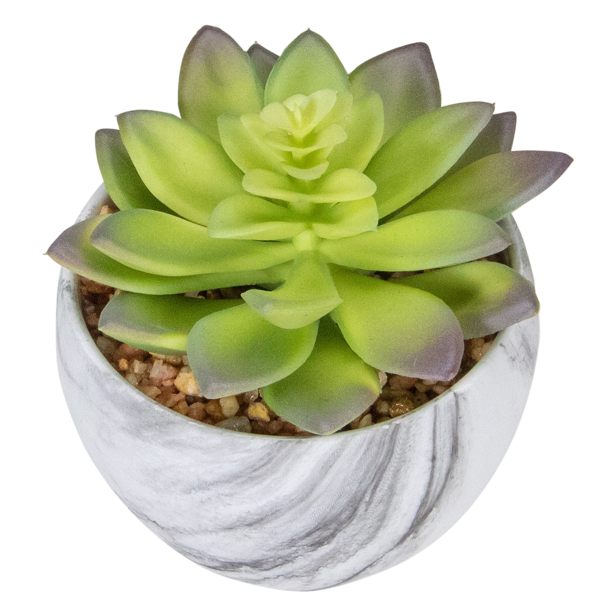 4" Green & Purple Succulent in Faux Marble Pot