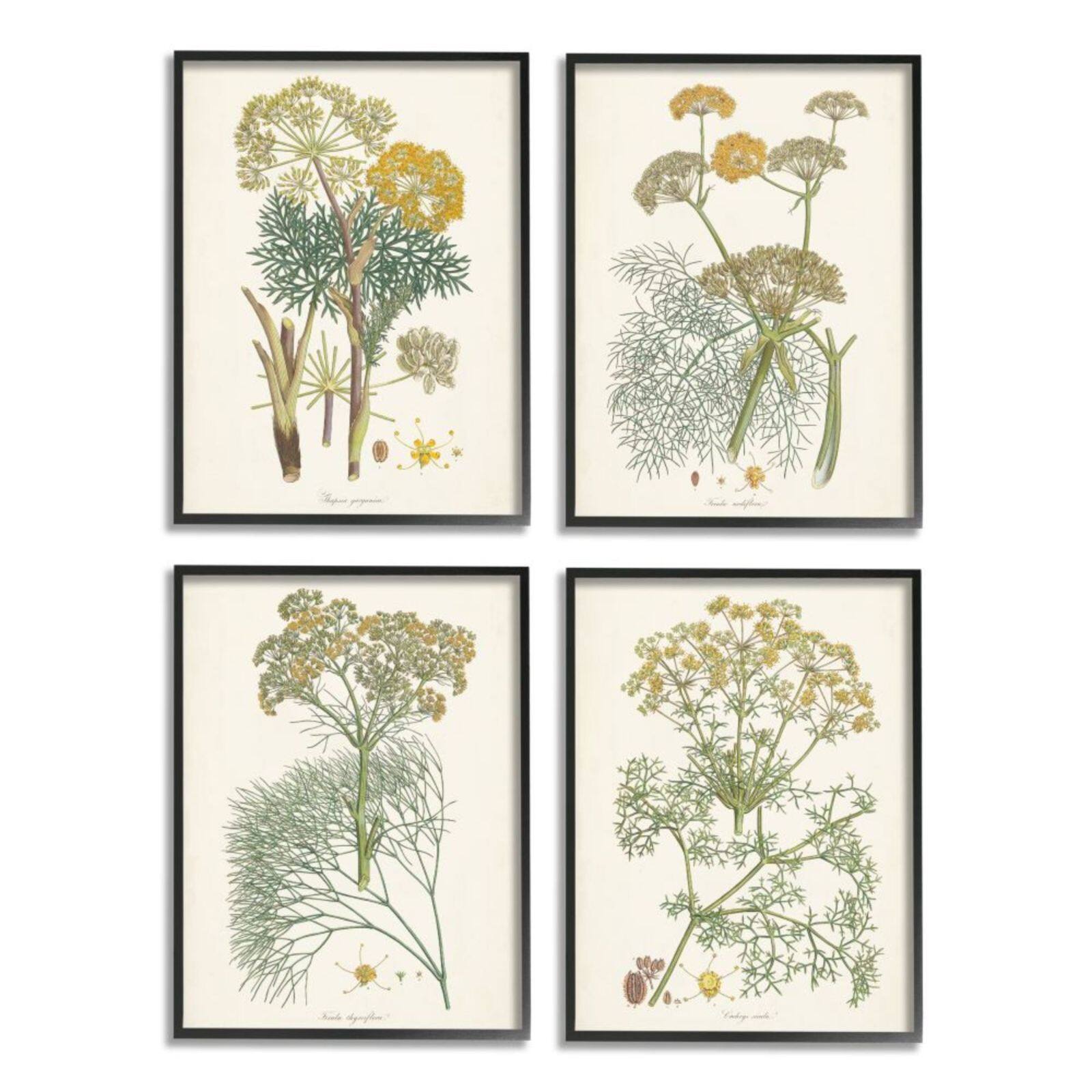 Stupell Industries Vintage Saffron Study with Black Frame Wall Accent Set