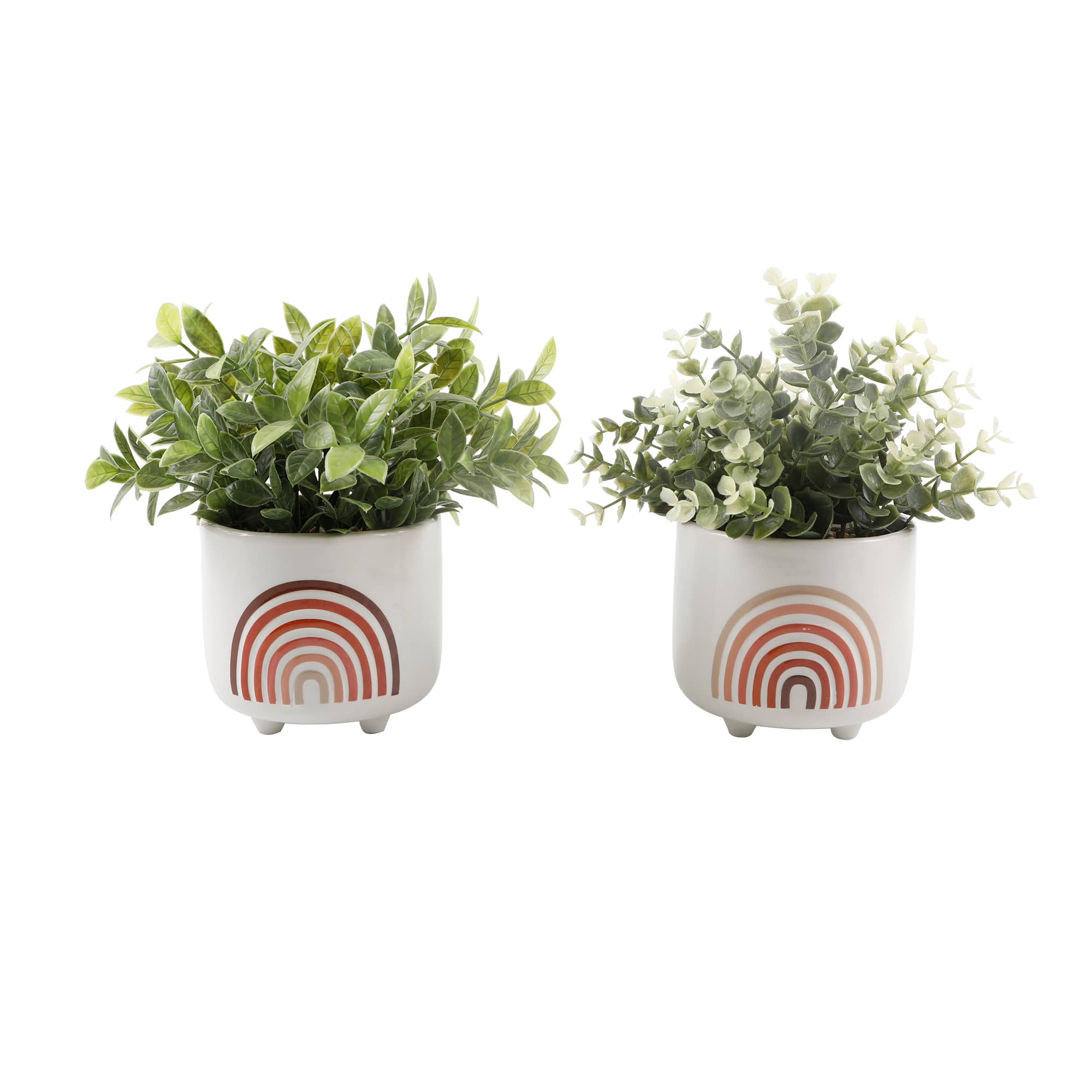 Flora Bunda® 9" Eucalyptus & Tea Leaf Plants in Footed Ceramic Rainbow Planter Set