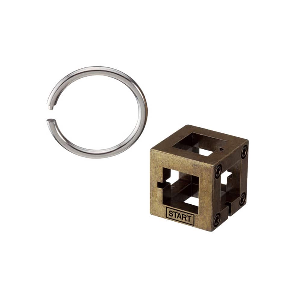Hanayama Box Level 2 Cast Puzzle