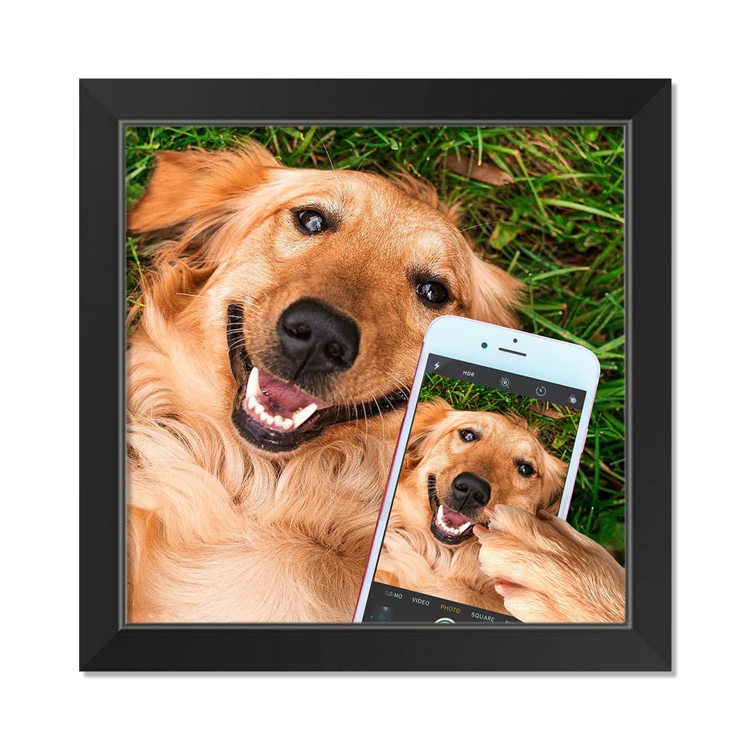 Selfie Golden 1 16" x 16" Black Framed Print Under Plexiglass