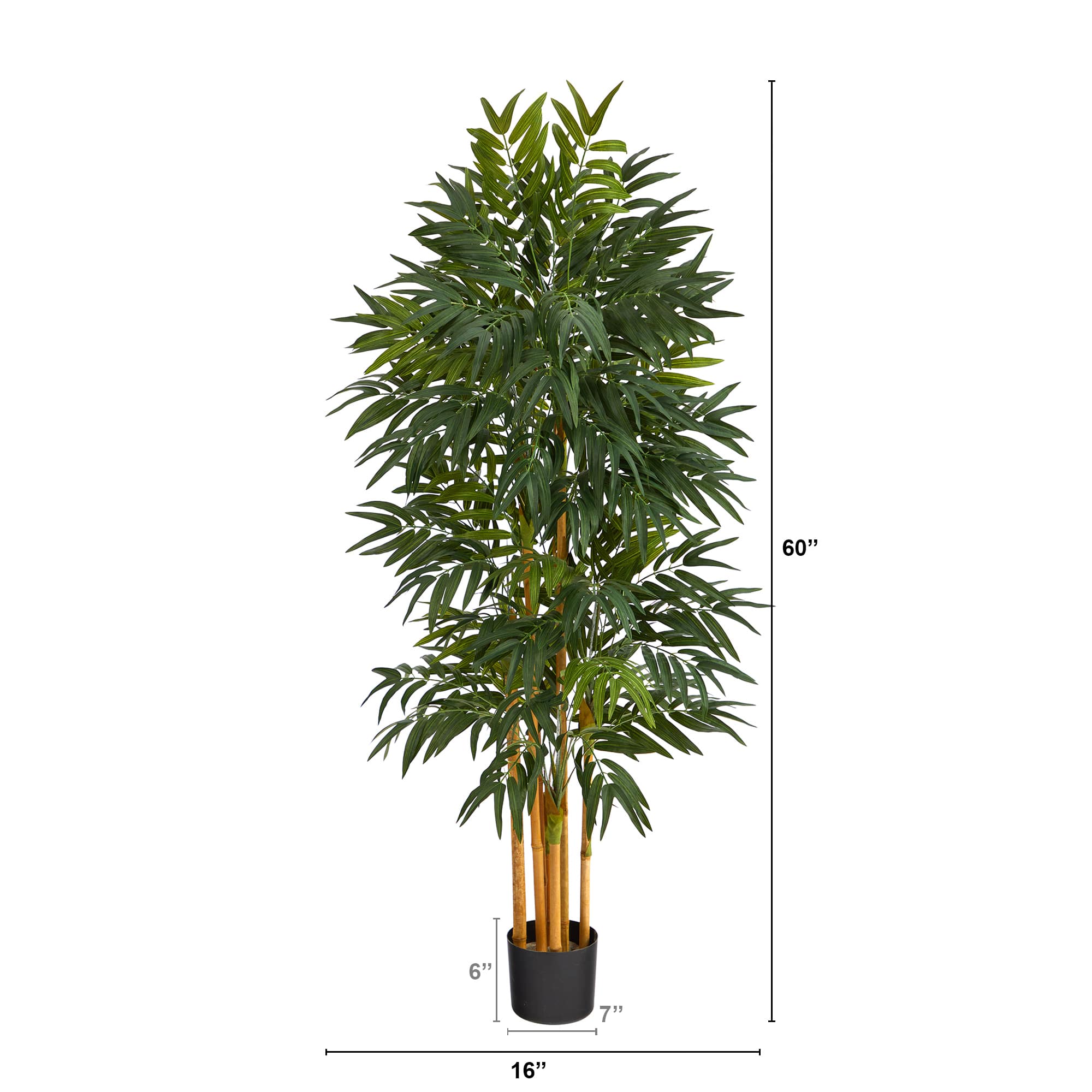 5ft. Potted Phoenix Palm Tree