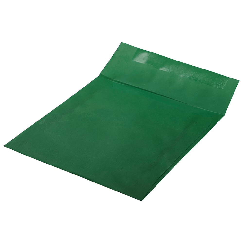 JAM Paper 6" x 6" Translucent Vellum Invitation Envelopes, 25ct.