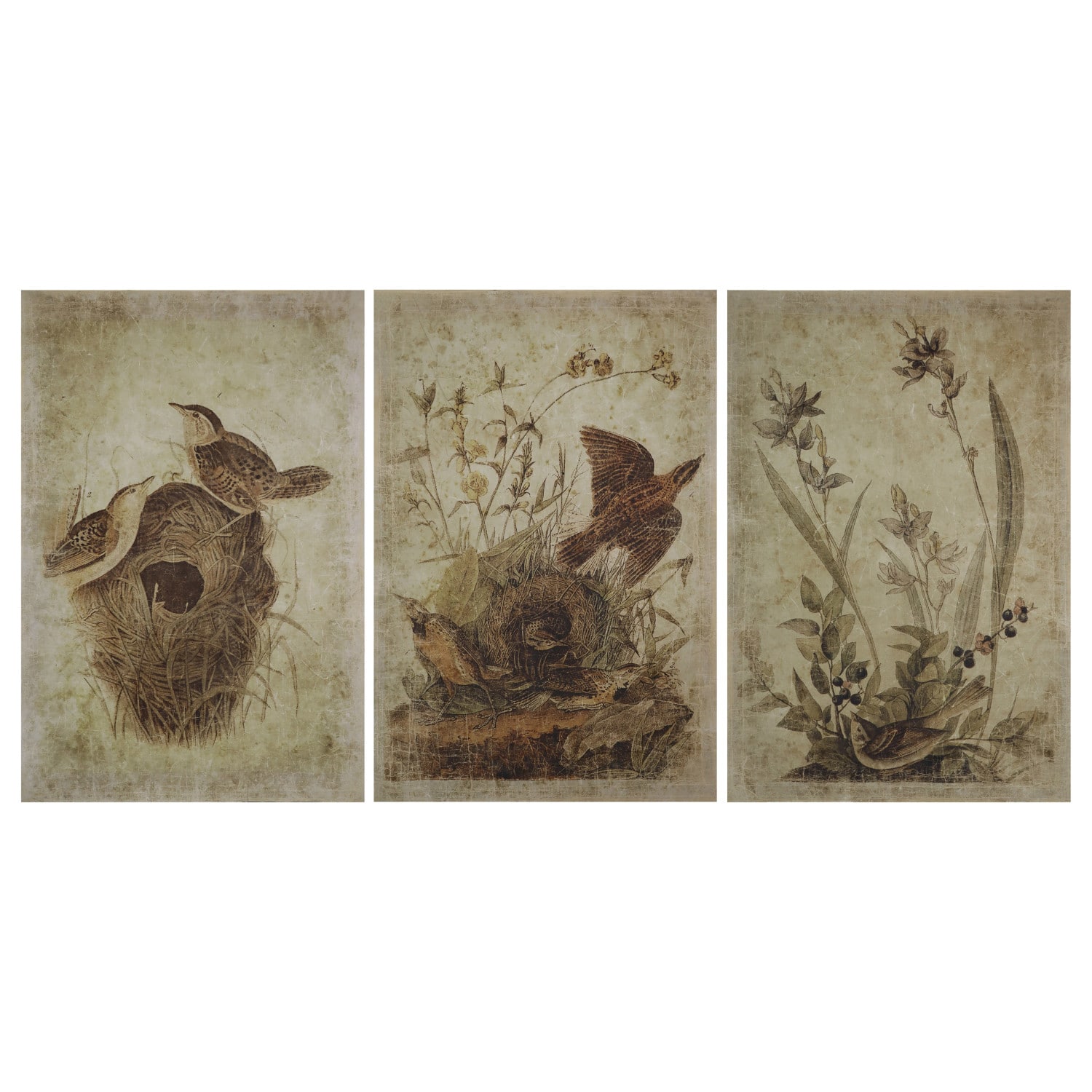 Hello Honey® 36" Brown Decorator Paper Bird Print Set