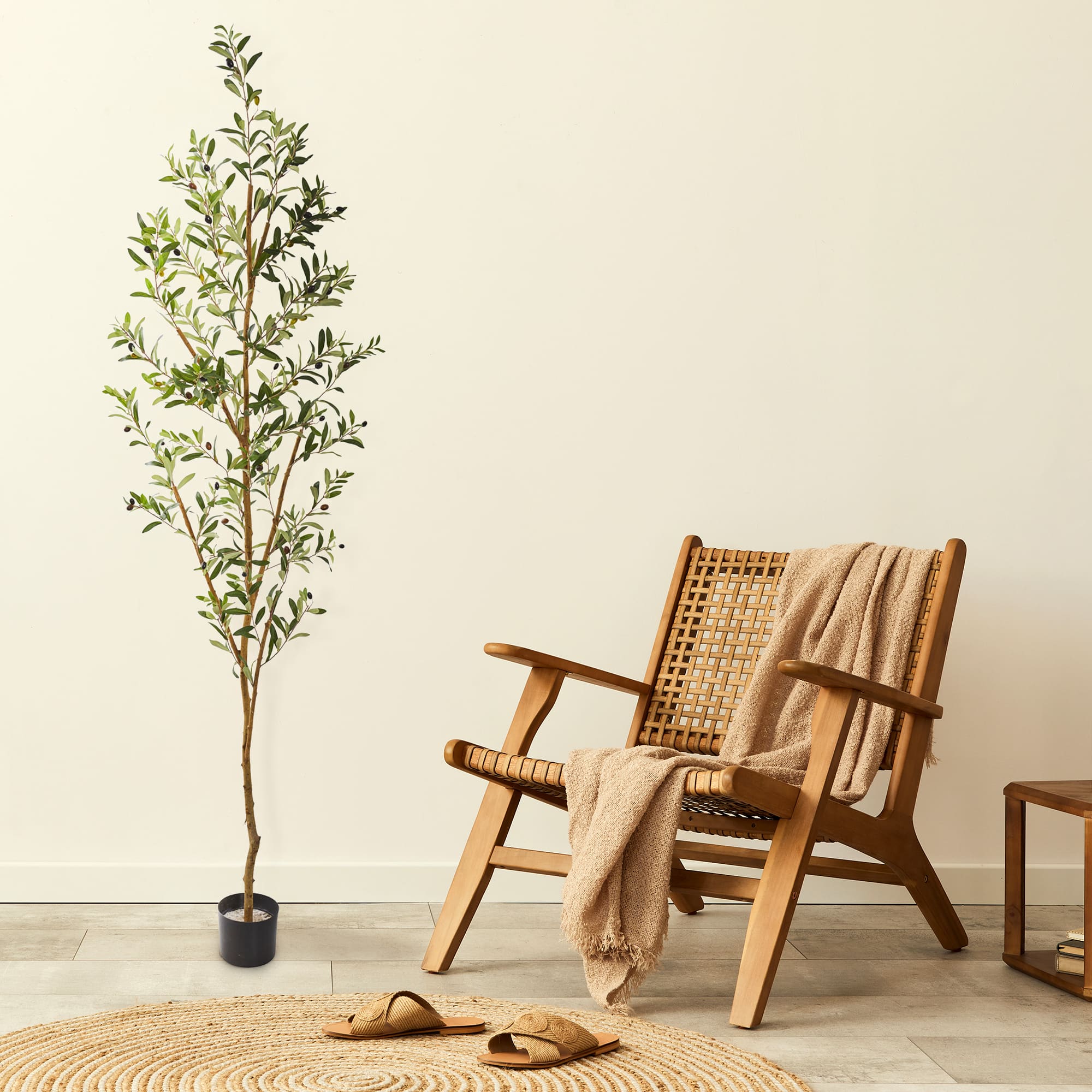 6.8ft. Potted Olive Tree