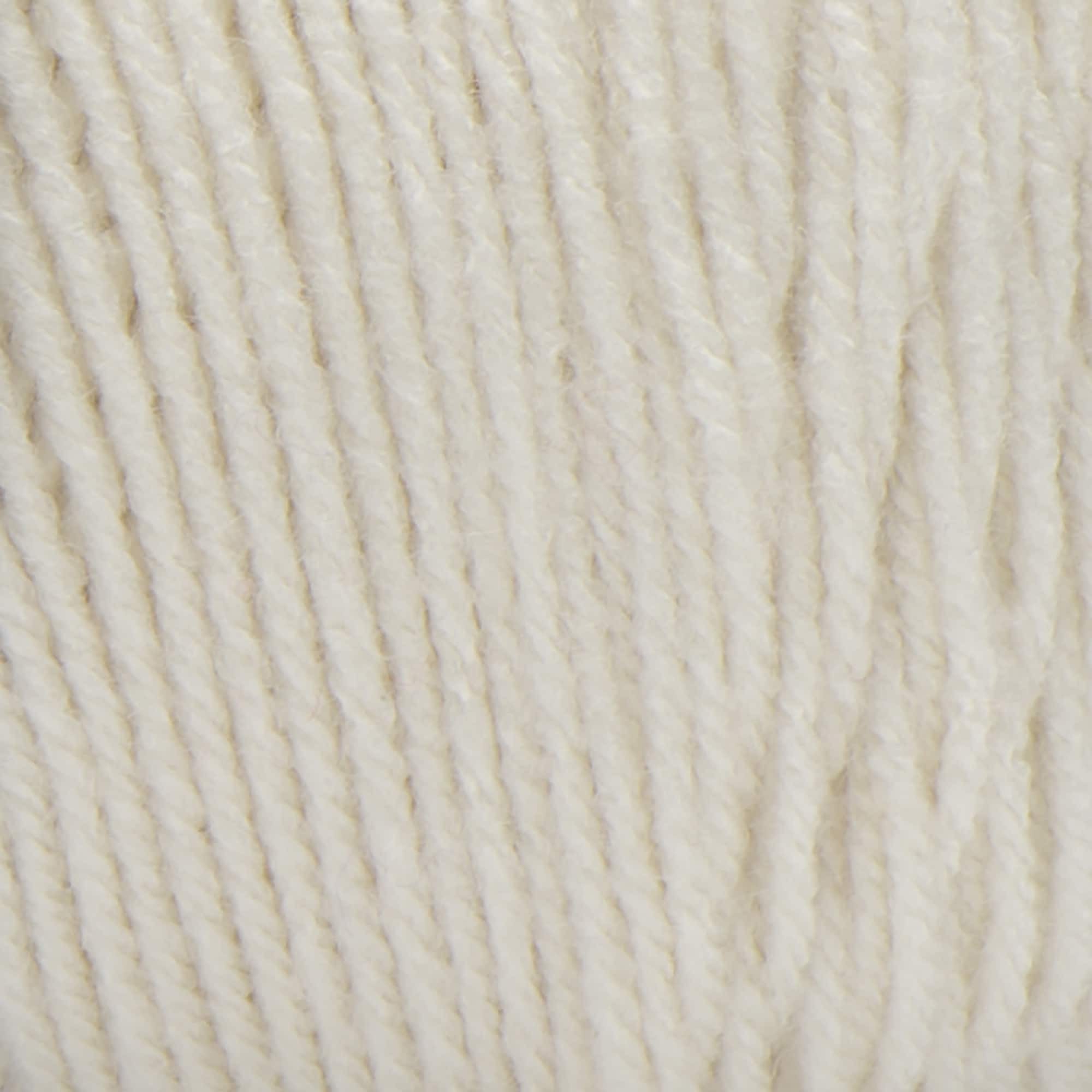 Red Heart® Super Saver® Solid Jumbo Yarn, 14oz.