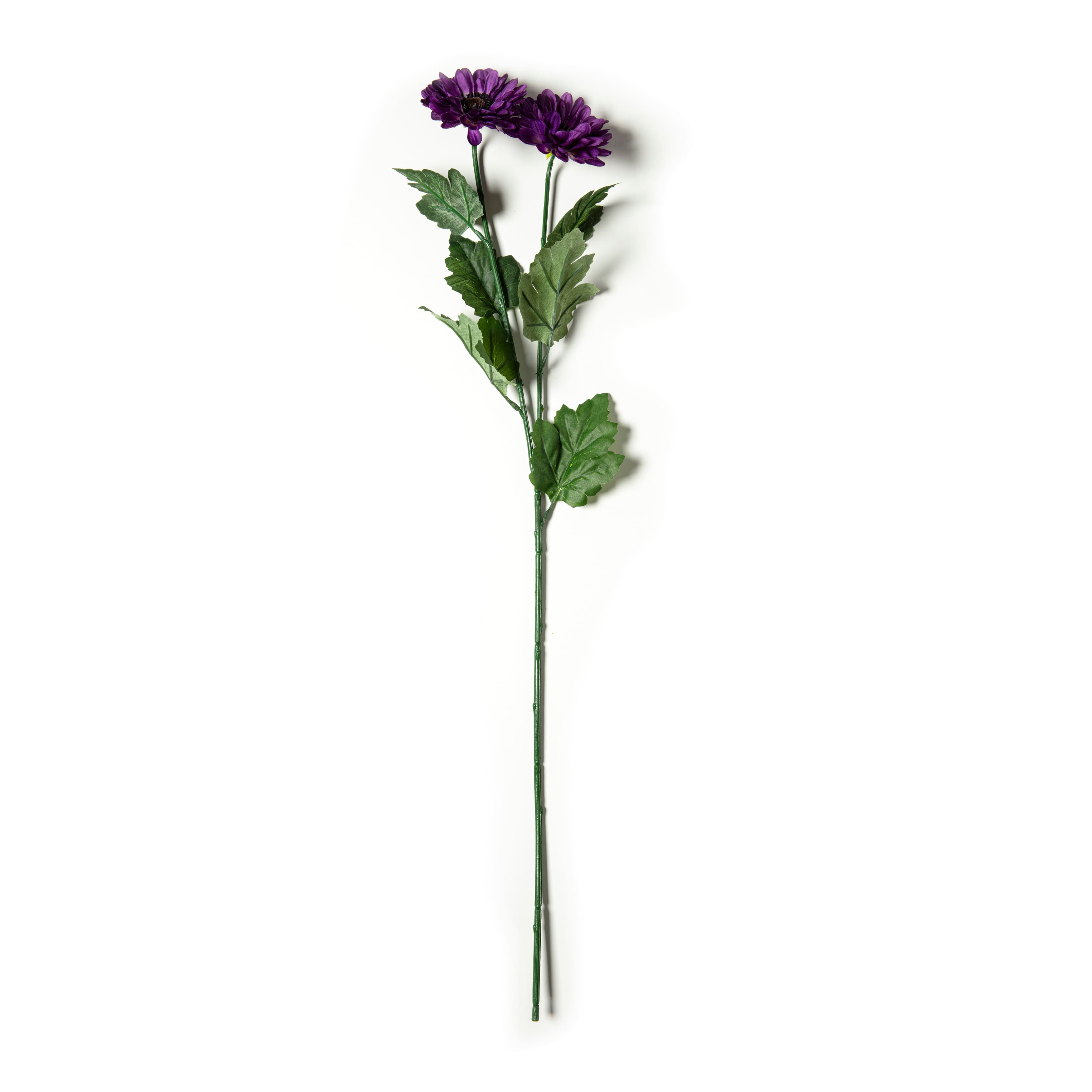 12 Pack: Purple Zinnia Mum Spray by Ashland®