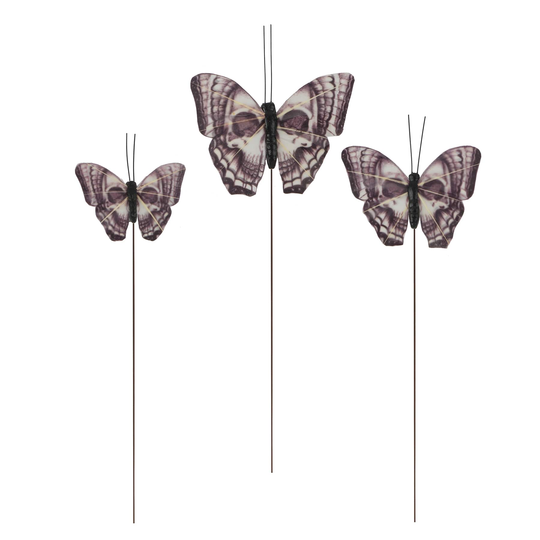 Skull Feather Butterfly