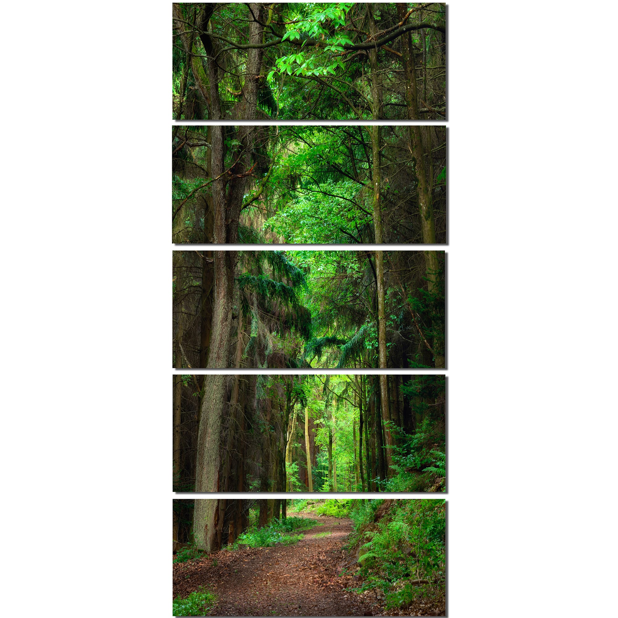 Designart - Dreamy Greenery in Dense Forest - Forest Canvas Art Print