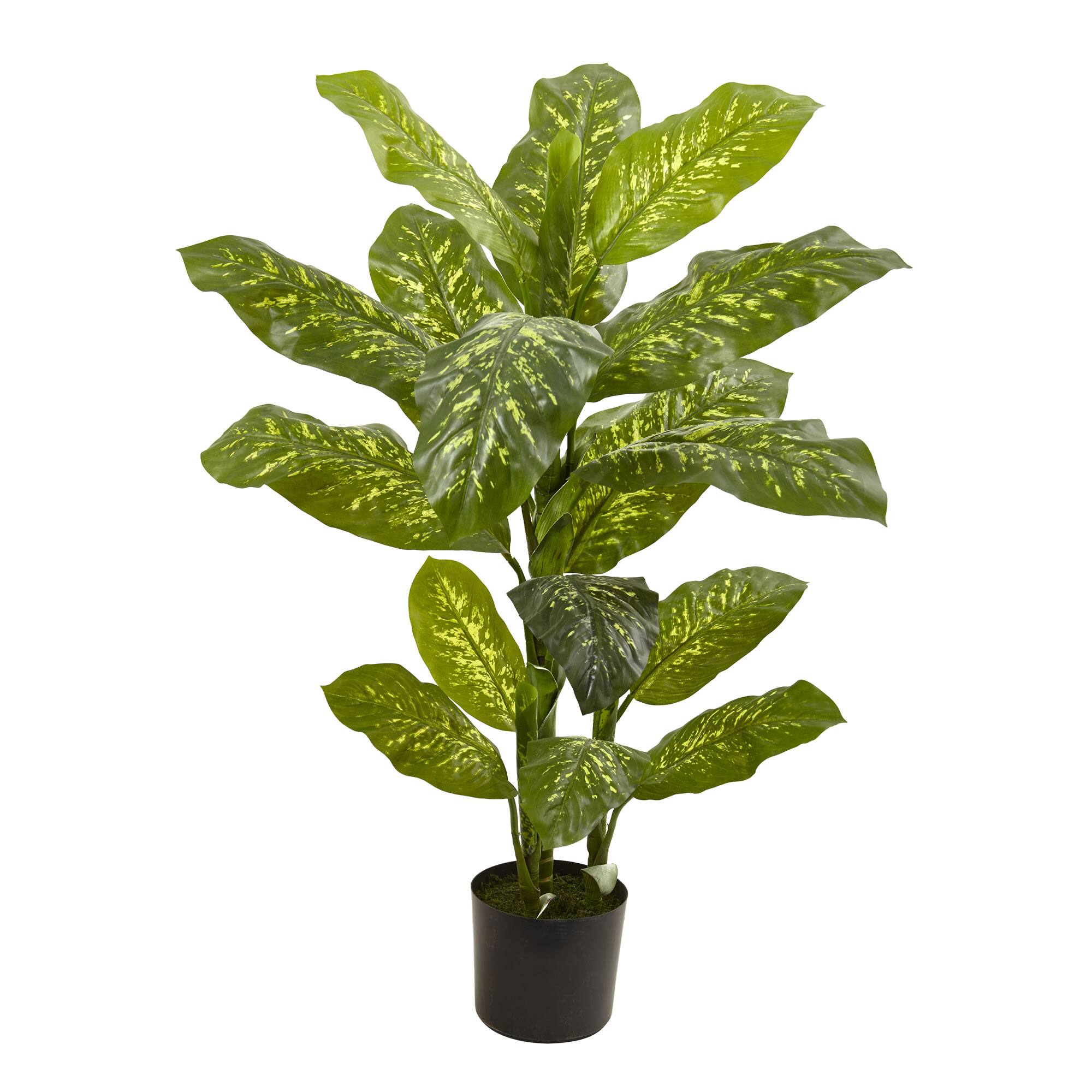 4ft. Potted Dumb Cane Real Touch Plant
