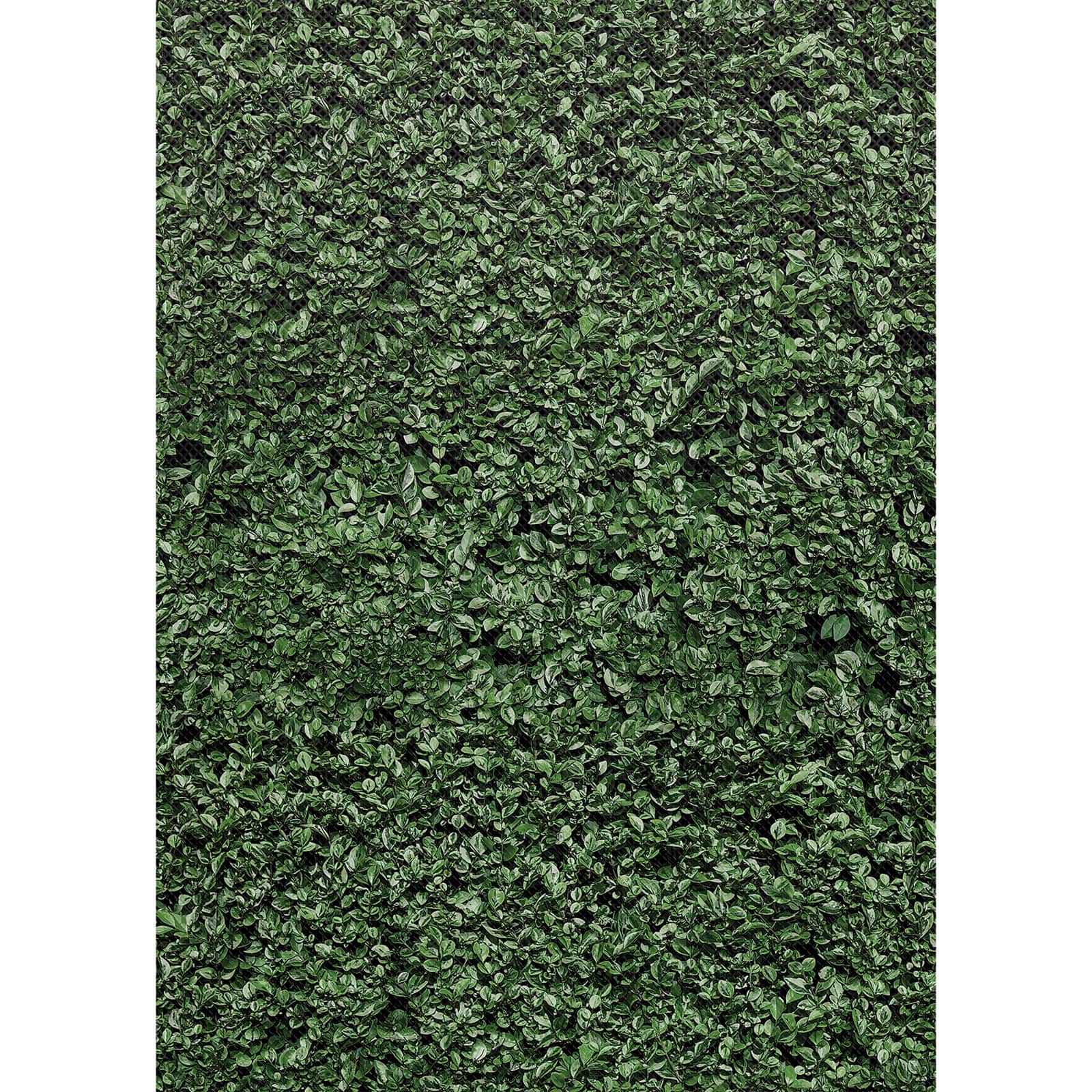 Teacher Created Resources Better Than Paper® Boxwood Design Bulletin Board Roll, 4ct.