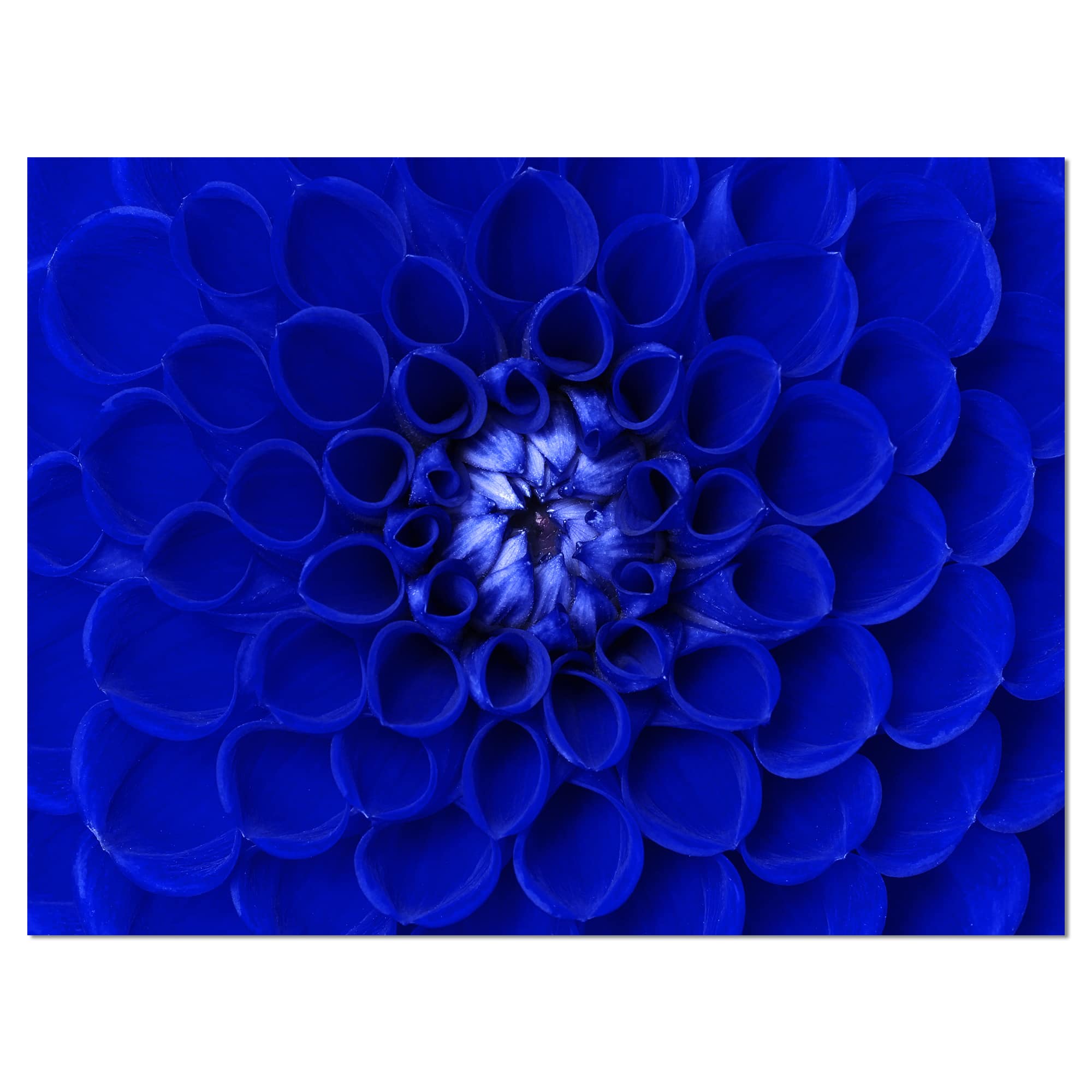Designart - Abstract Blue Flower Design