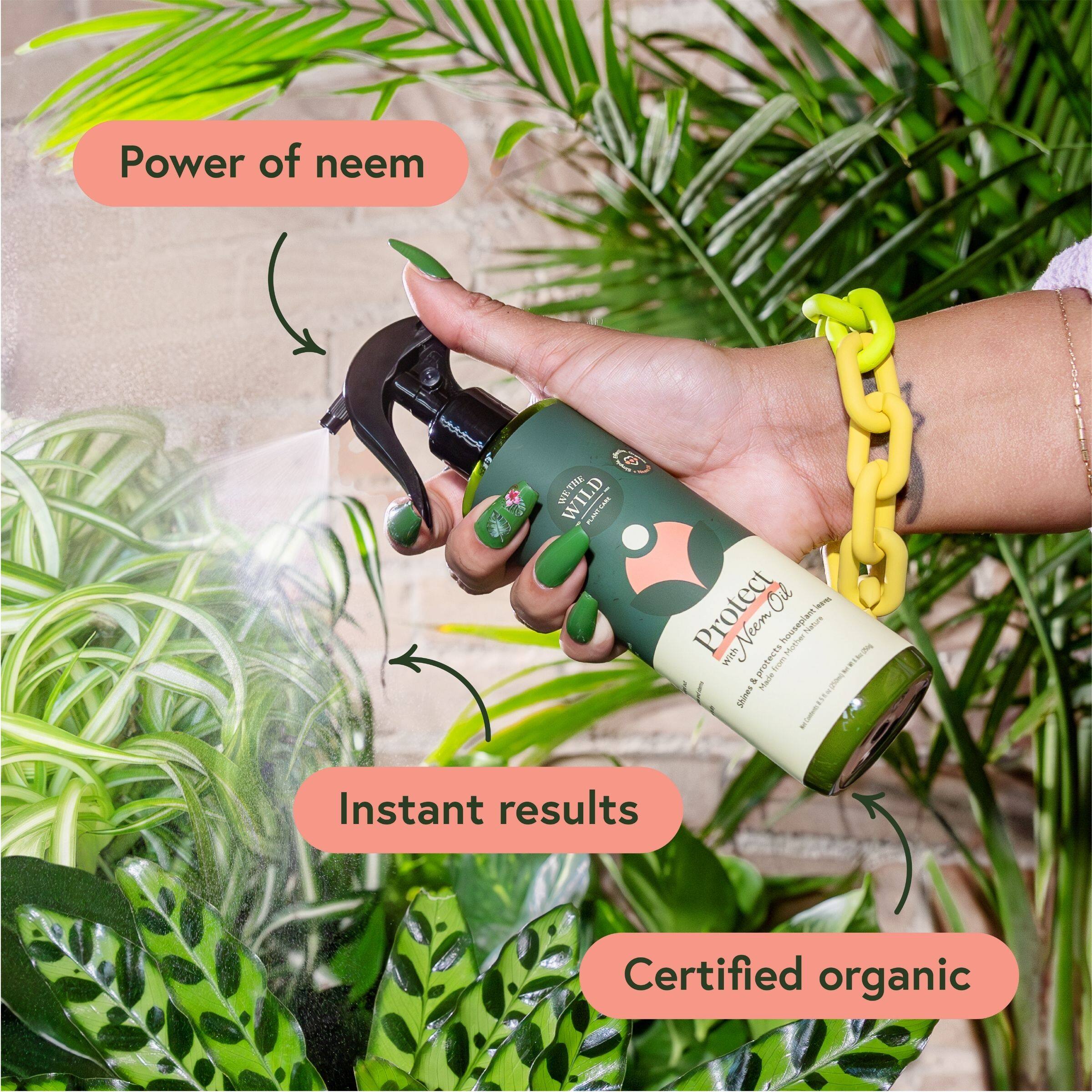 We The Wild™ Proud Plant Mum Leaf Care Kit