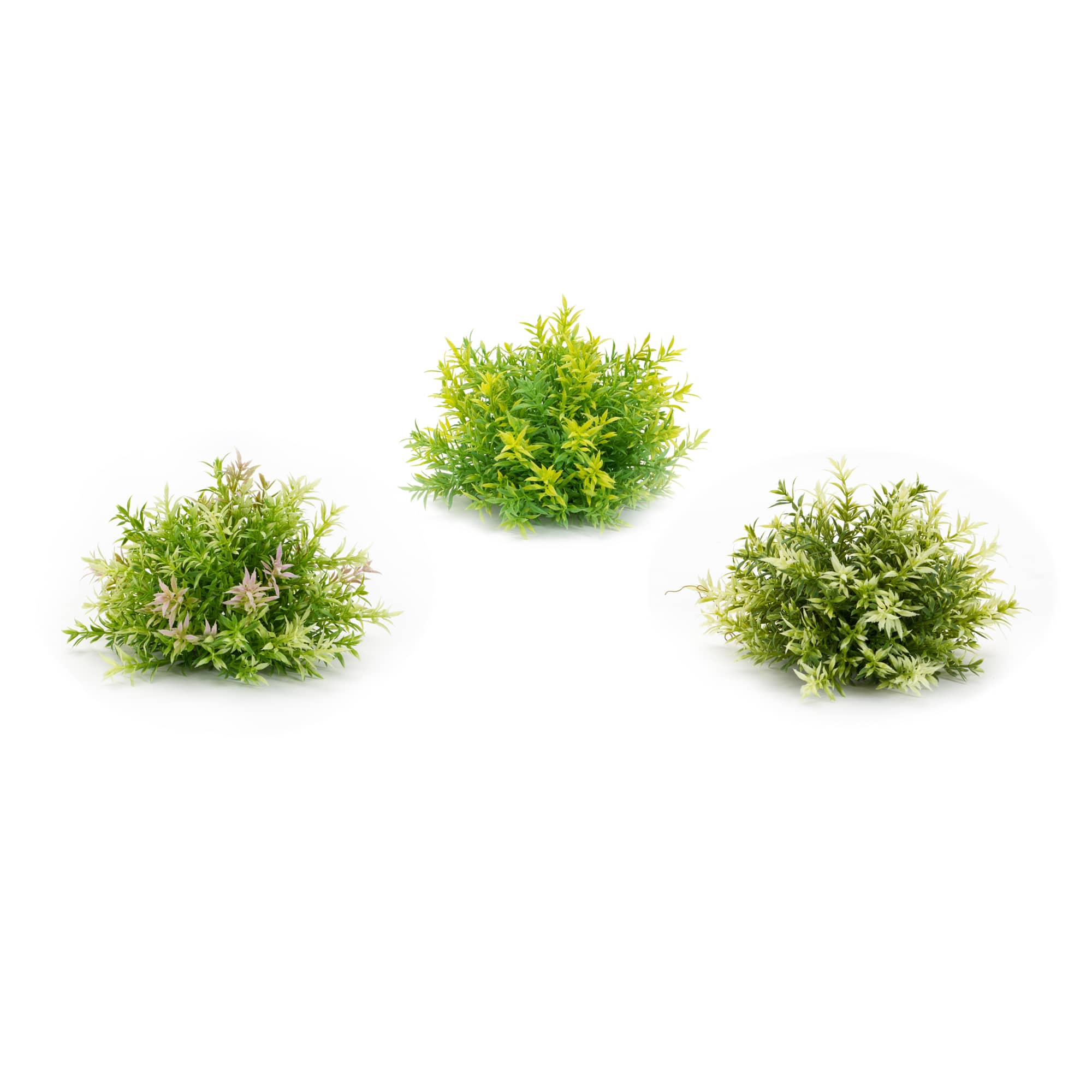 Variegated Mini Leaf Half Orbs