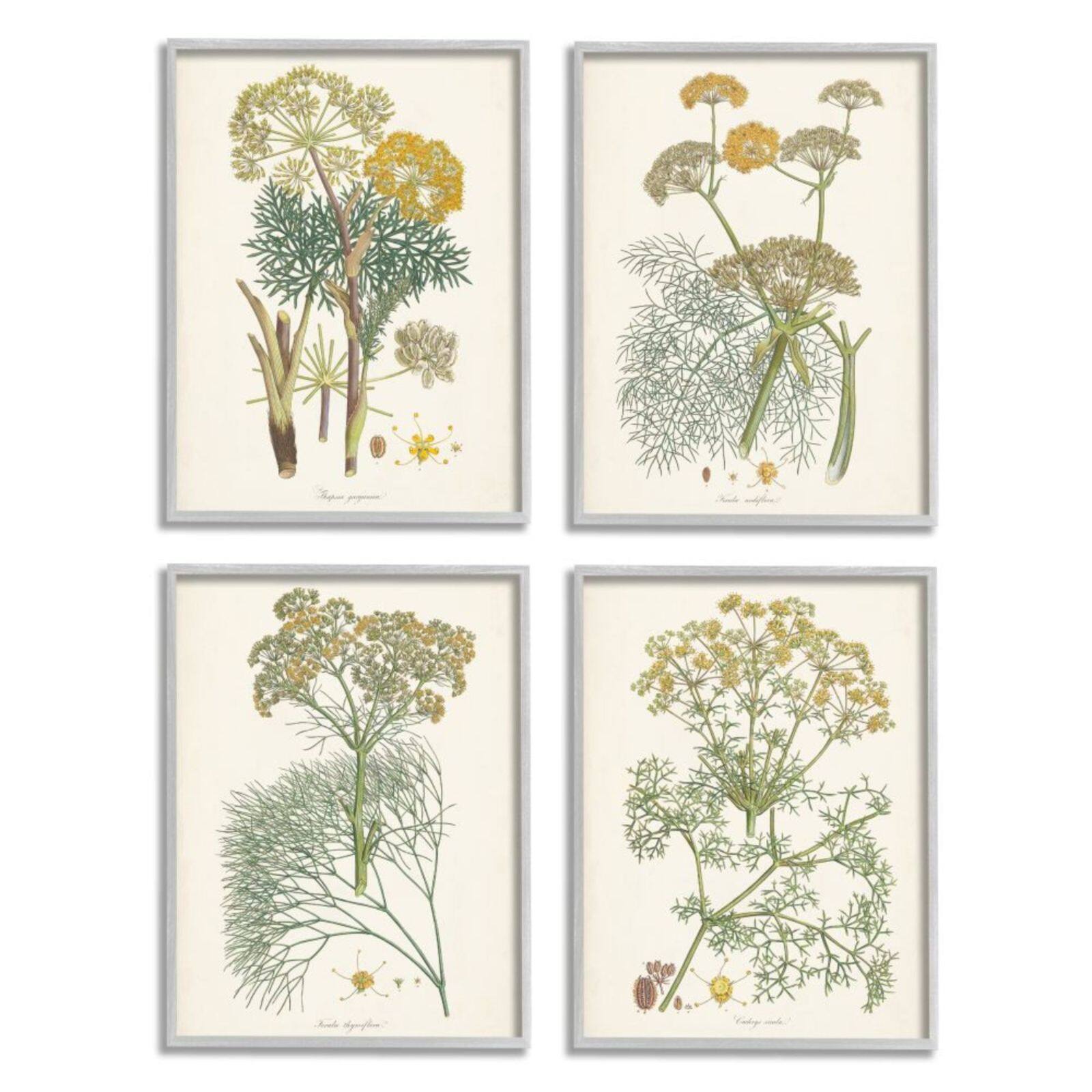 Stupell Industries Vintage Saffron Study with Gray Frame Wall Accent Set