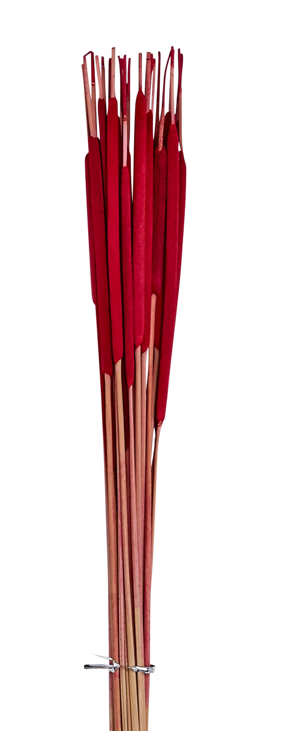 26" Pencil Bullrush Cattails, 75ct.