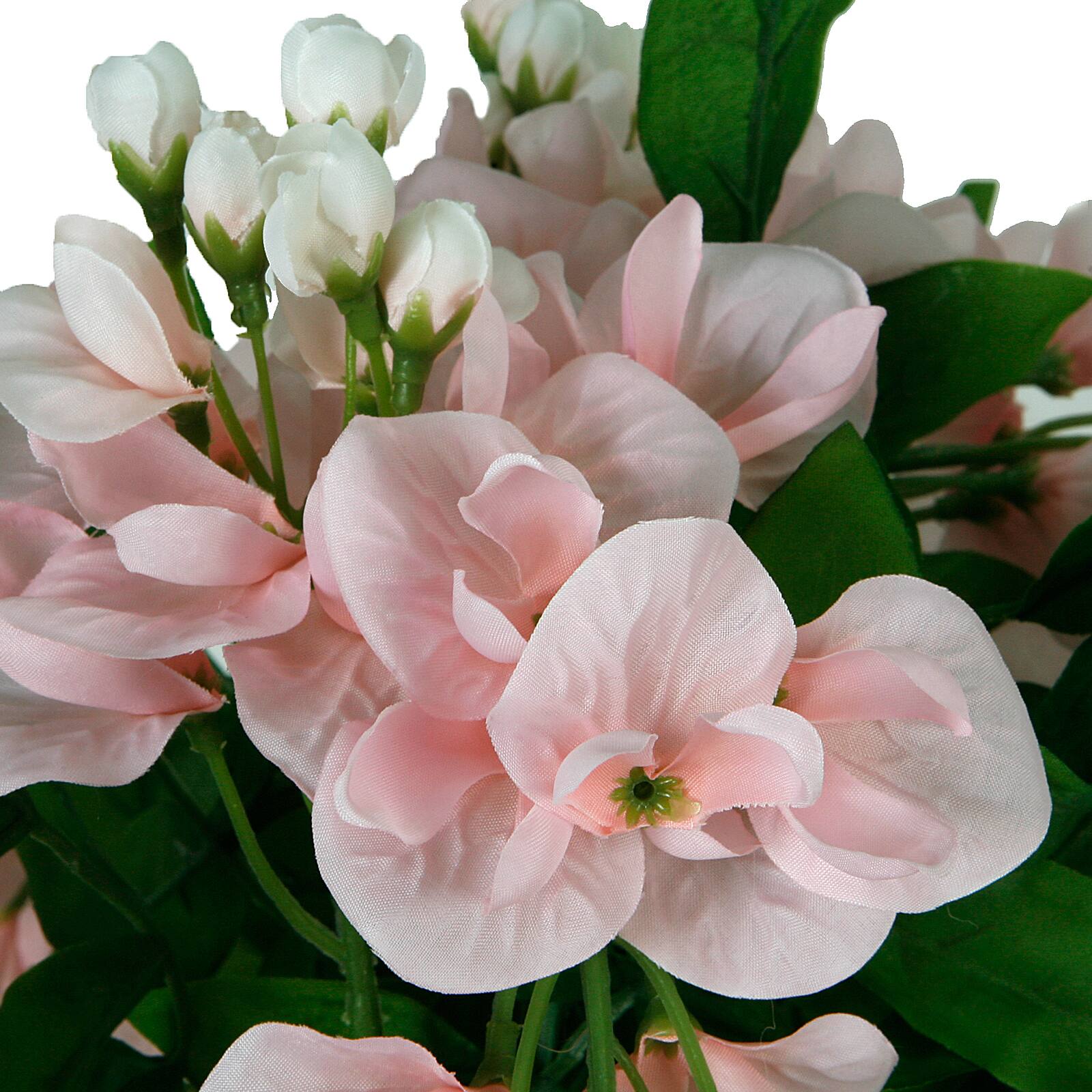 12 Pack: Pink Wisteria Bush by Ashland®