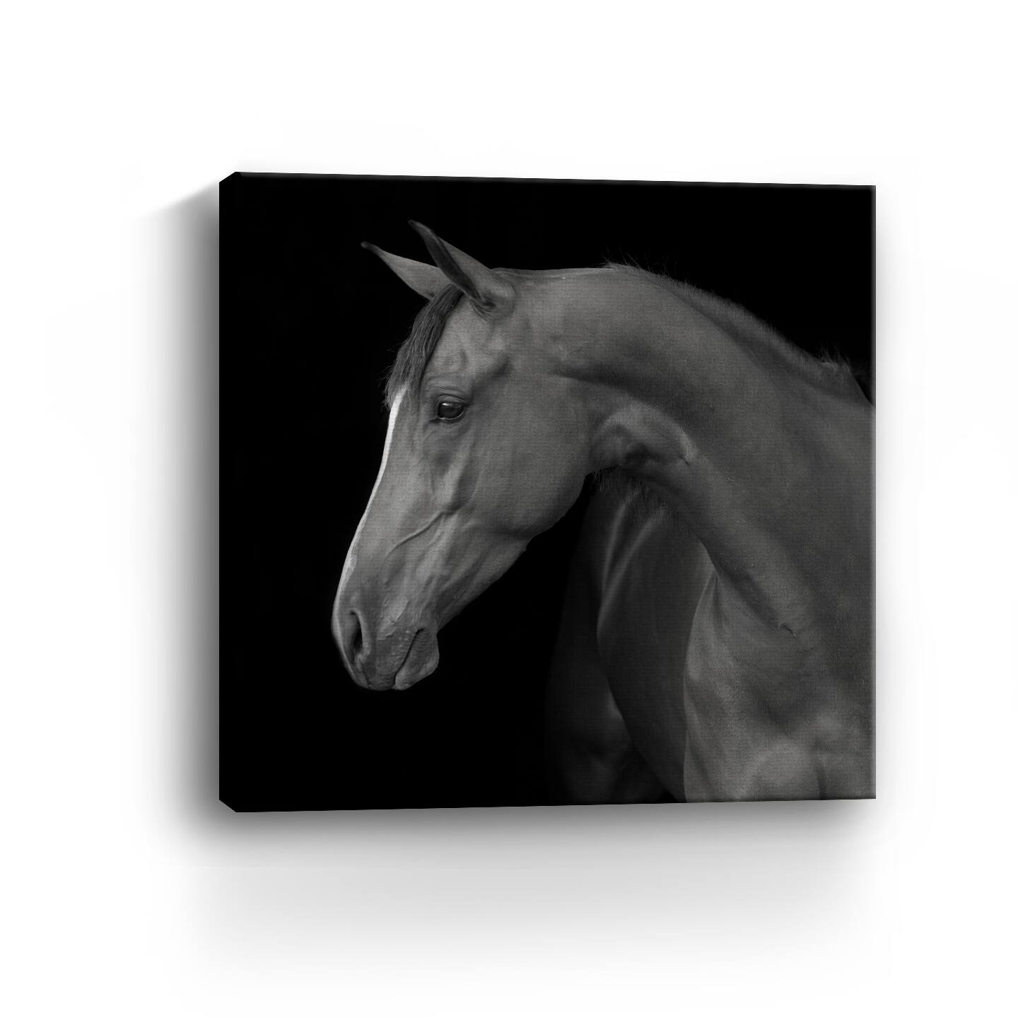Lumaprints Jack Giclée Canvas