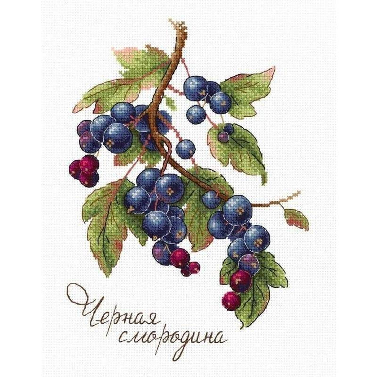MP Studia Gifts of Nature Black Currant Cross Stitch Kit