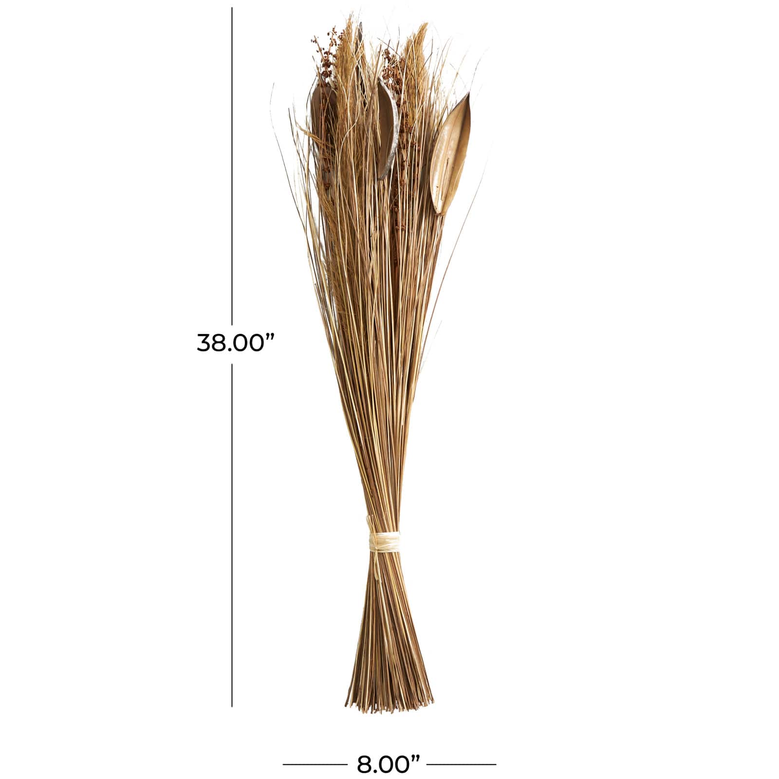 Brown Dried Large Leaf Plant & Branch Bundle