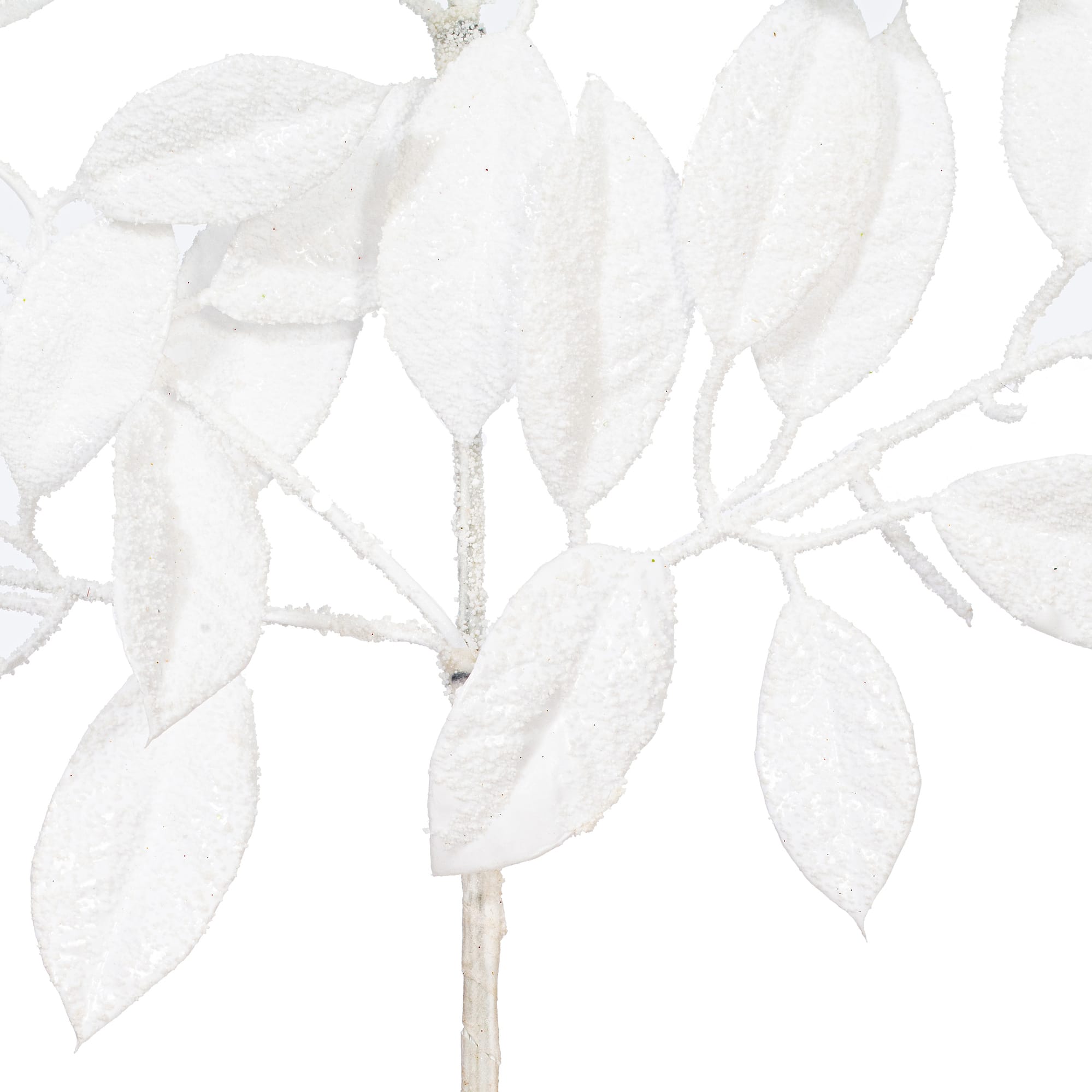 Vickerman 31" White Artificial Gardenia Snowy Sprays, 2ct.