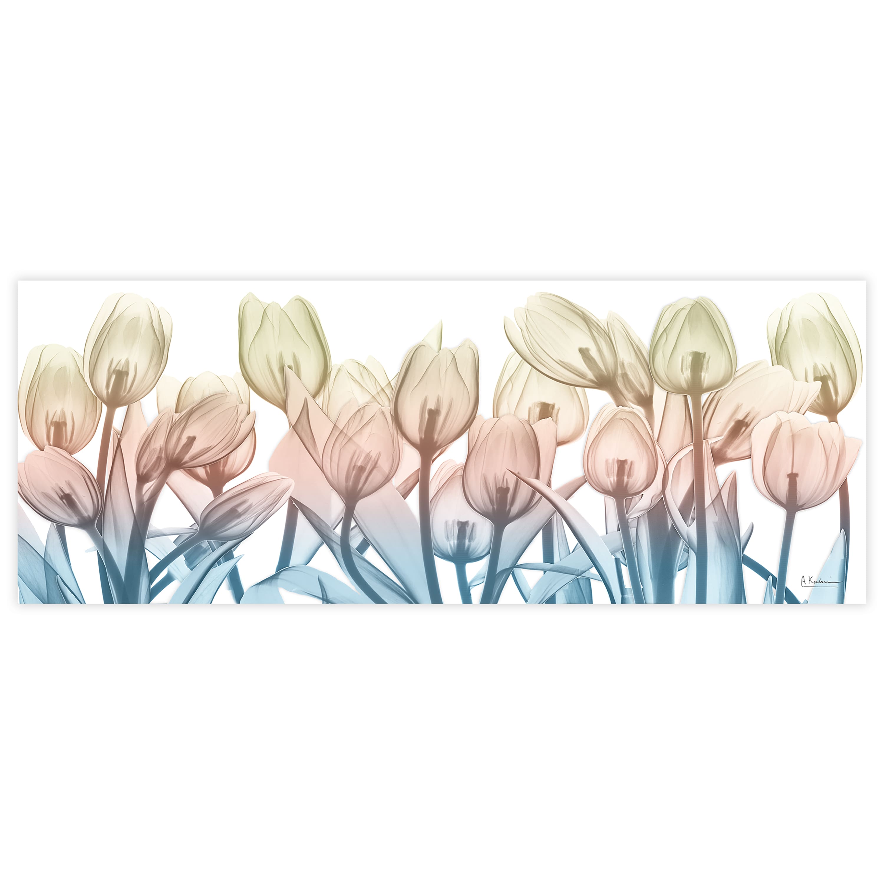 Empire Art Direct 24" x 63" Spring Blooms Frameless Free Floating Printed Tempered Glass Wall Art