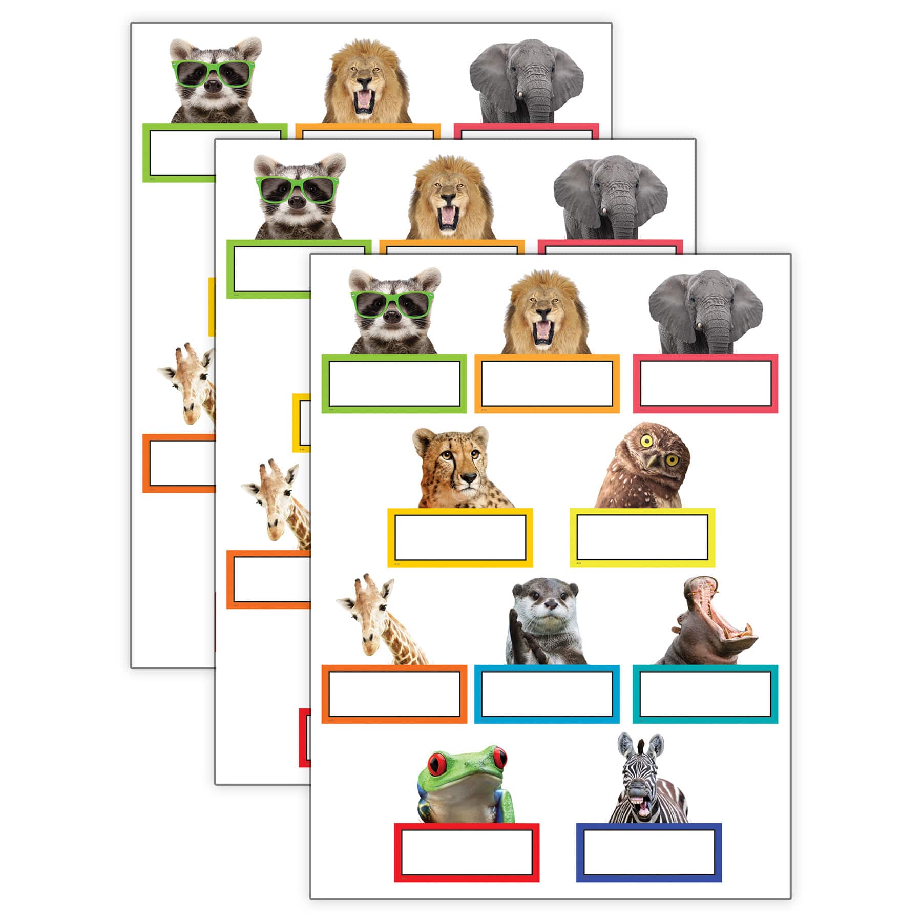 Teacher Created Resources® Go Wild Animals Accents, 3 Packs of 30
