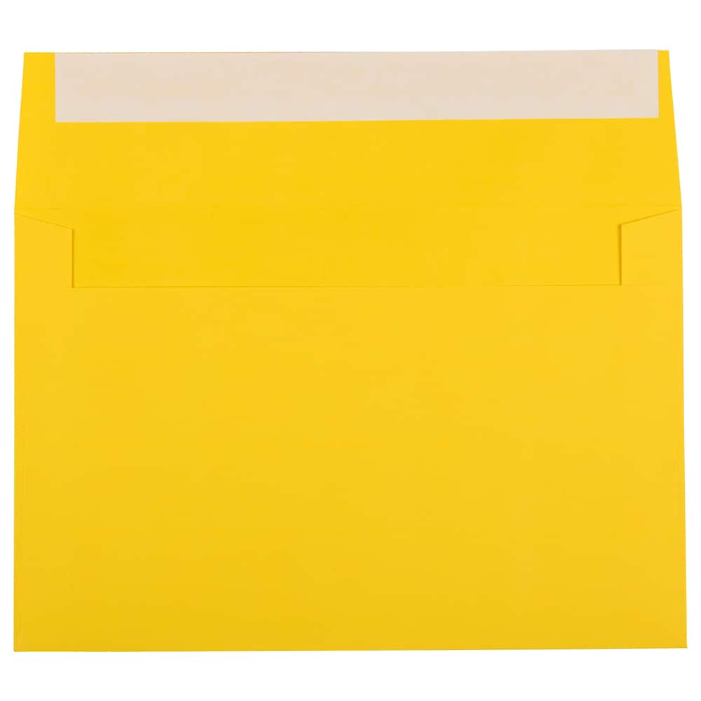 JAM Paper 6" x 9" Colored Peel & Seal Invitation Envelopes