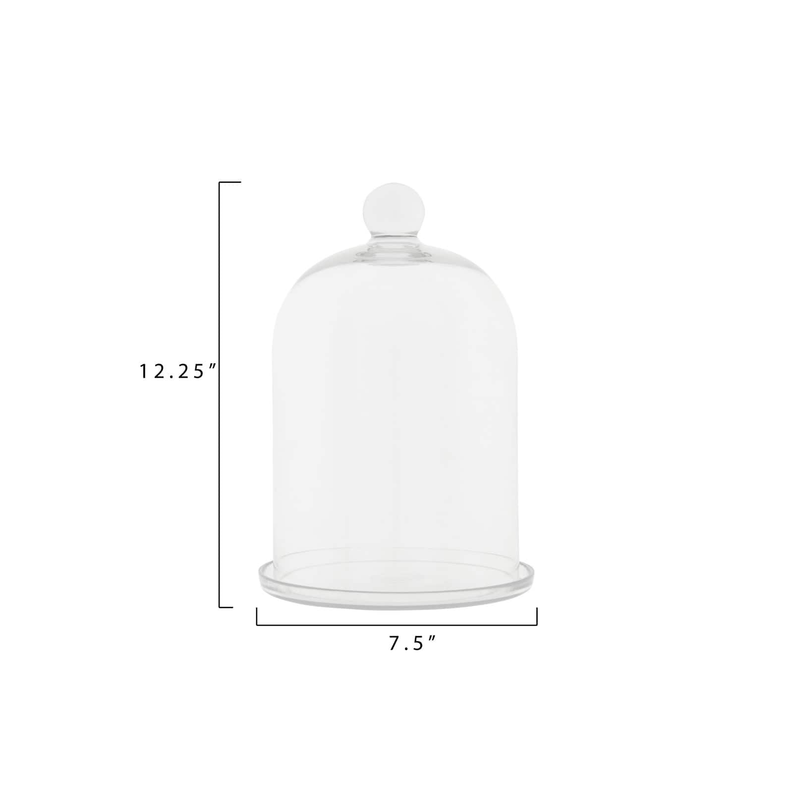 Hello Honey® Glass Cloche with Clear Glass Plate Set