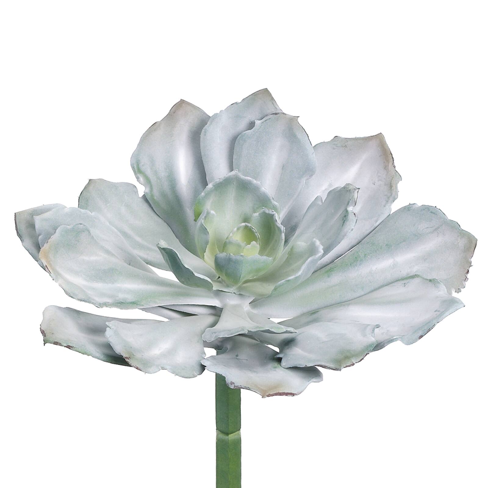 Soft Touch Gray Green Echeveria Pick 