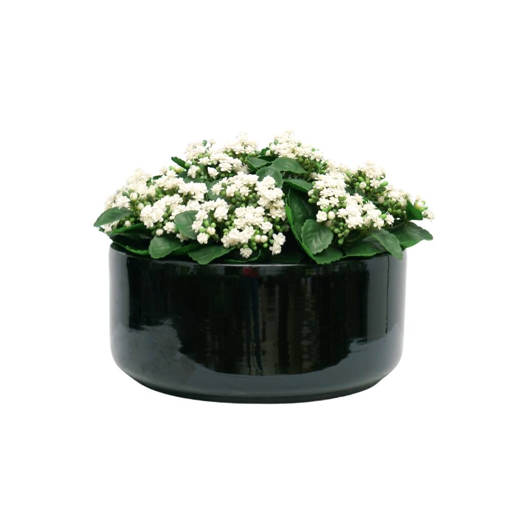 House of Silk Flowers 21" Faux White Kalanchoe in Black Ceramic Bowl Arrangement