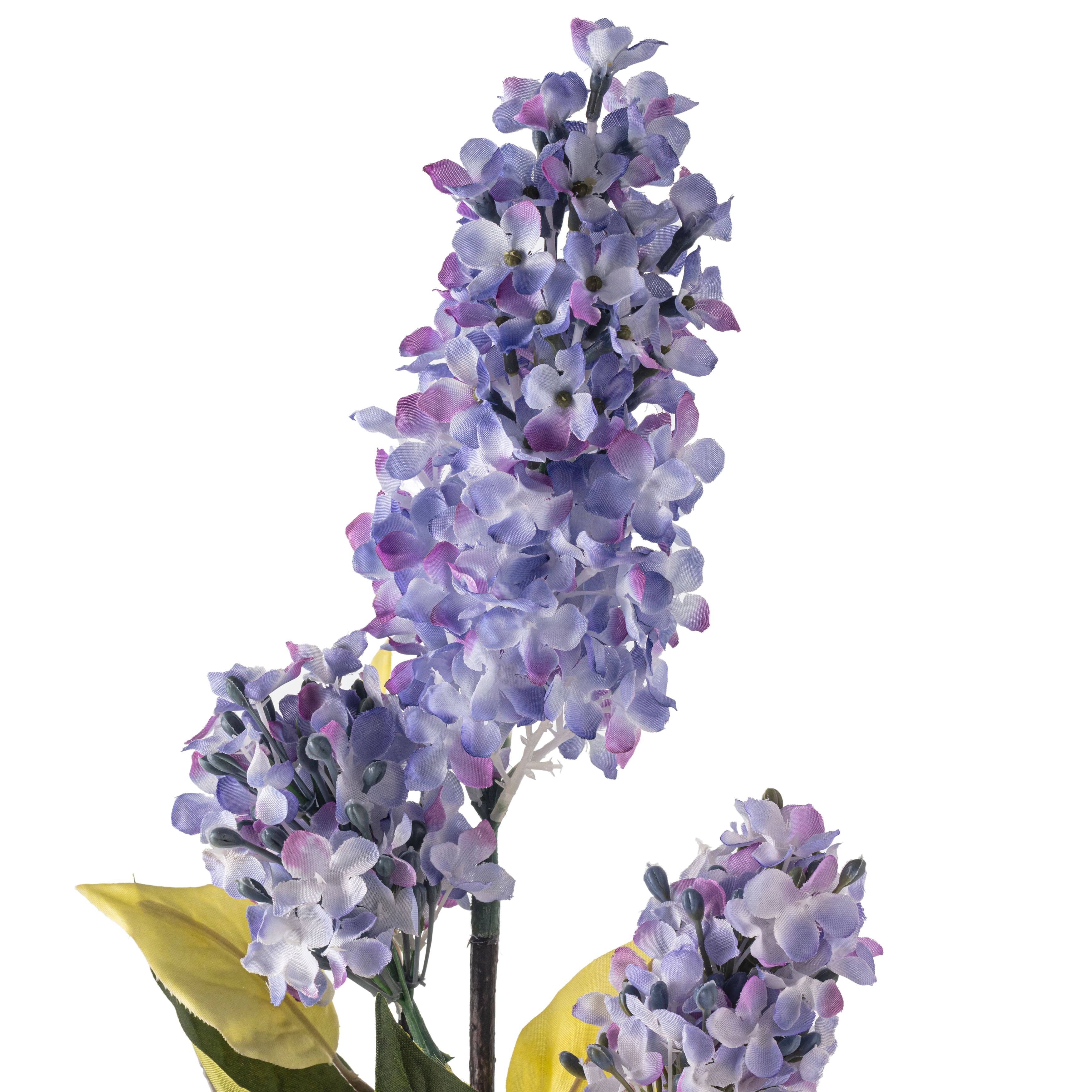 Lilac Spray by Ashland®