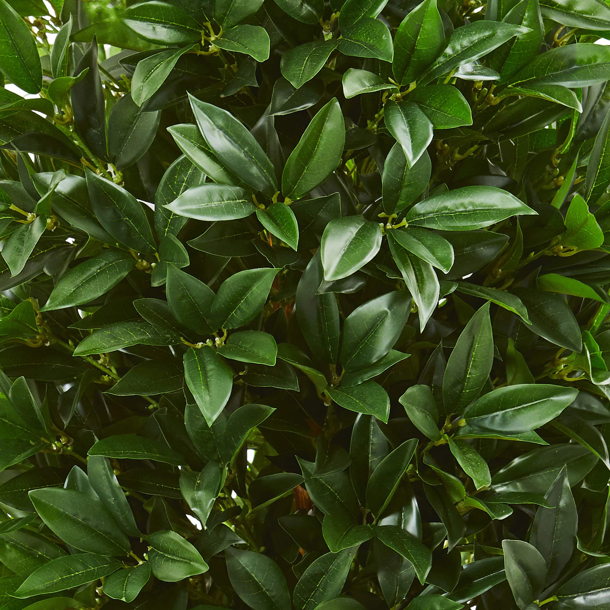 4.7ft. UV Resistant Bay Leaf Cone Topiary Tree in Slate Planter