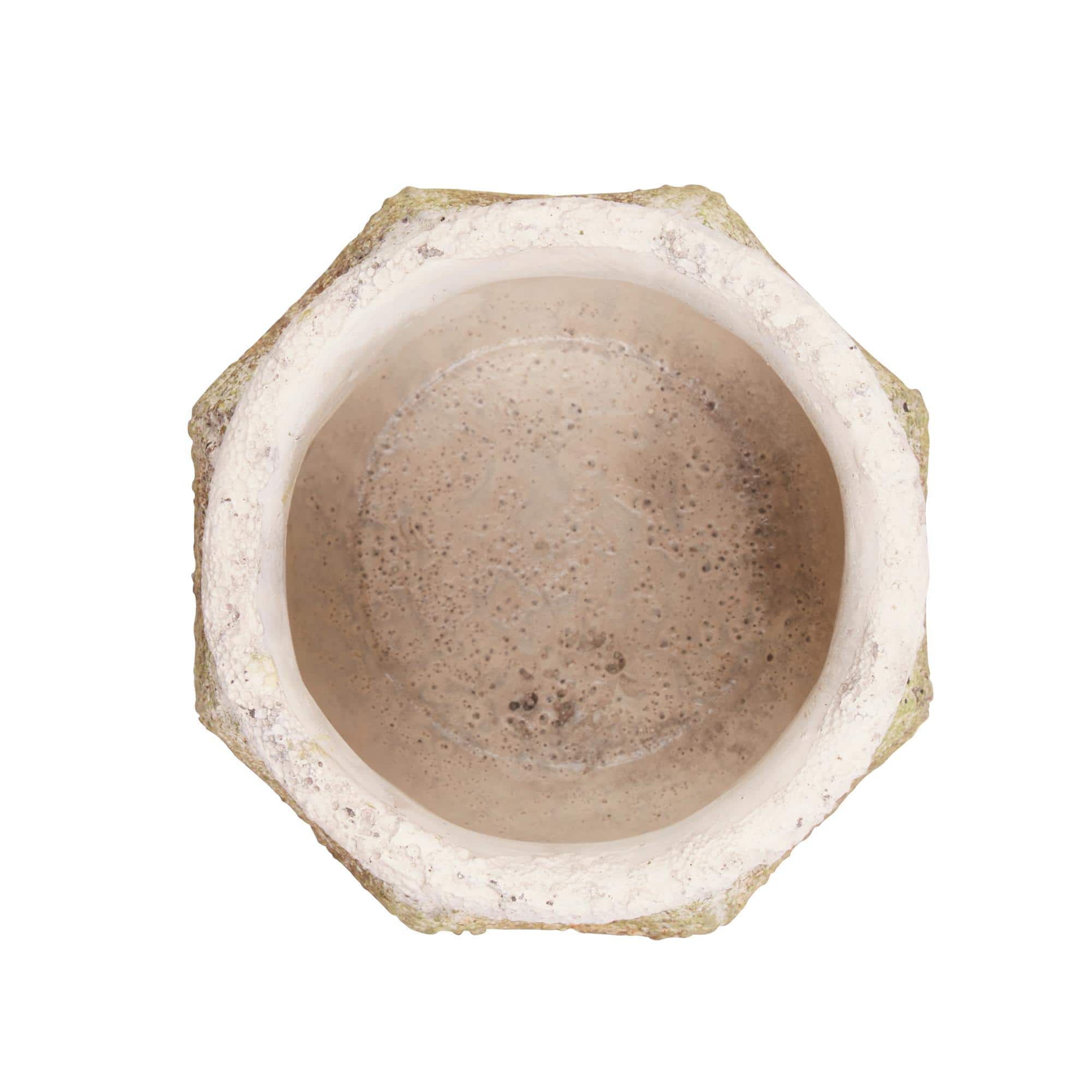 Ancient Leaf Cement Flower Pot Set