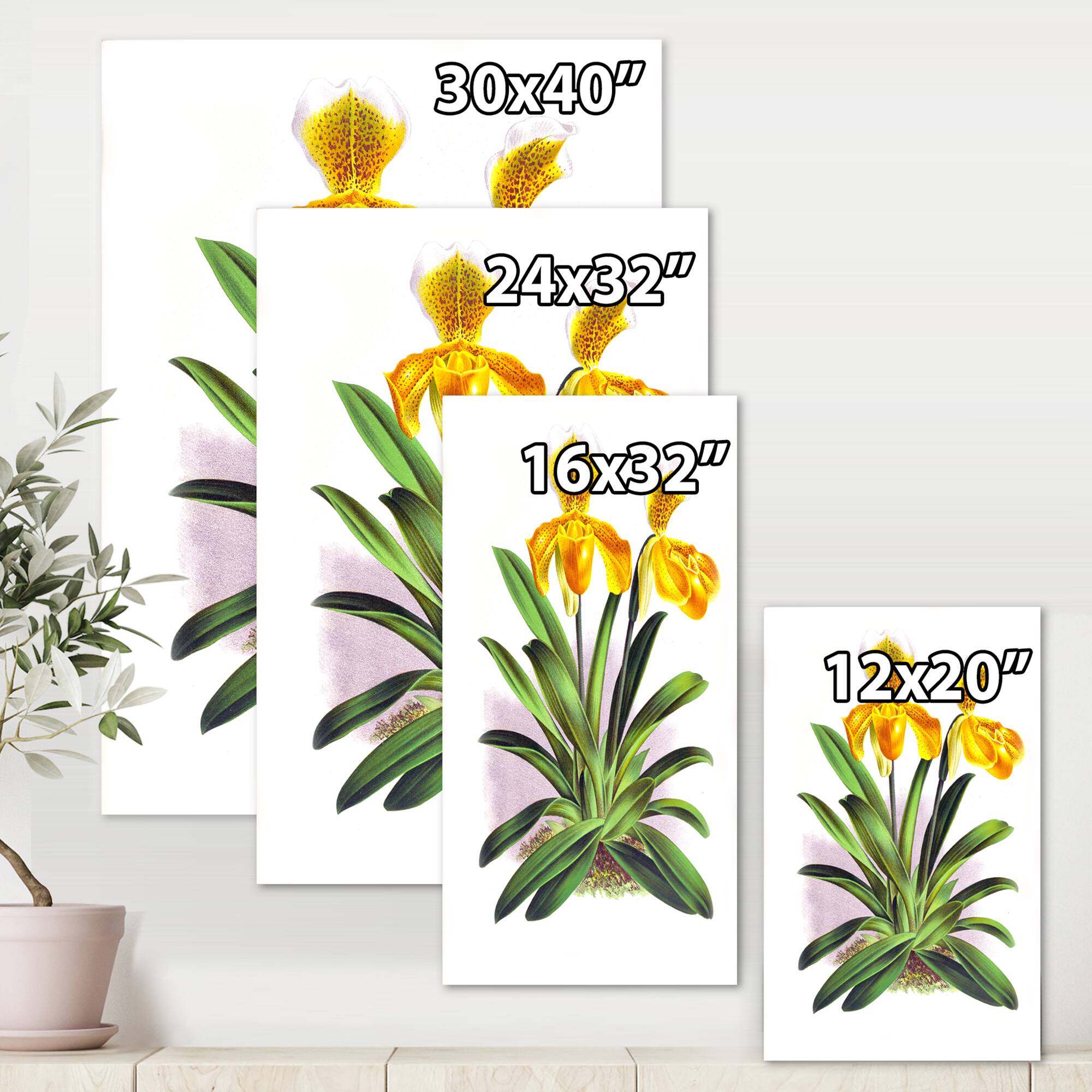 Designart - Vintage Yellow Orchid - Traditional Canvas Wall Art Print