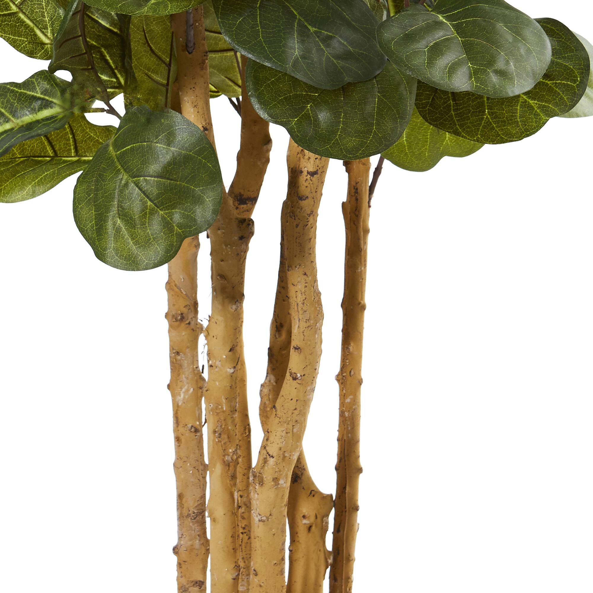 5ft. Potted Fiddle Leaf Fig Tree