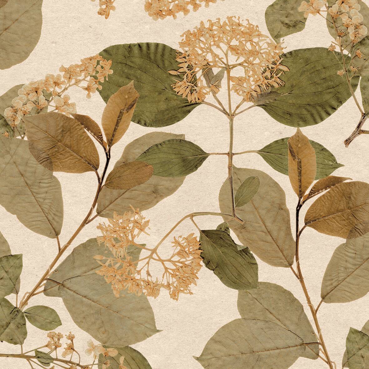 Designs Direct Castanum Bloom Wallpaper
