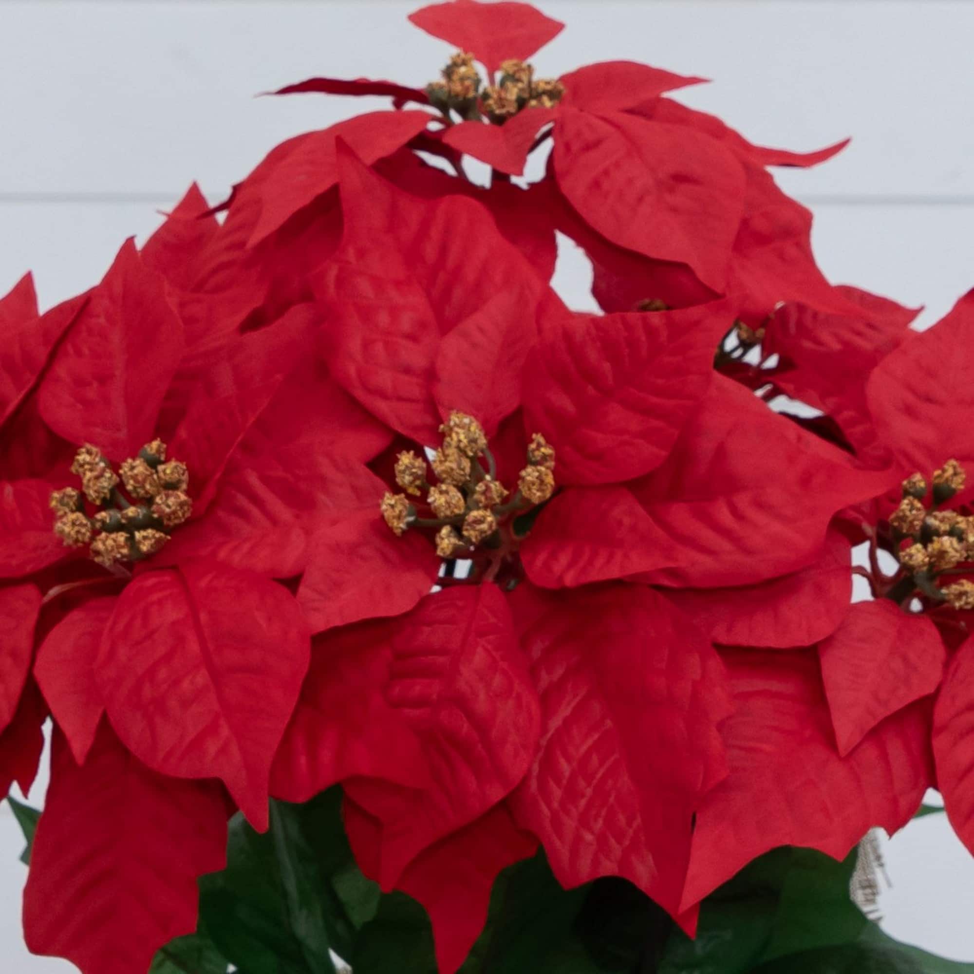 Nearly Natural 16.5" Artificial Poinsettia Arrangement in Burlap Planter