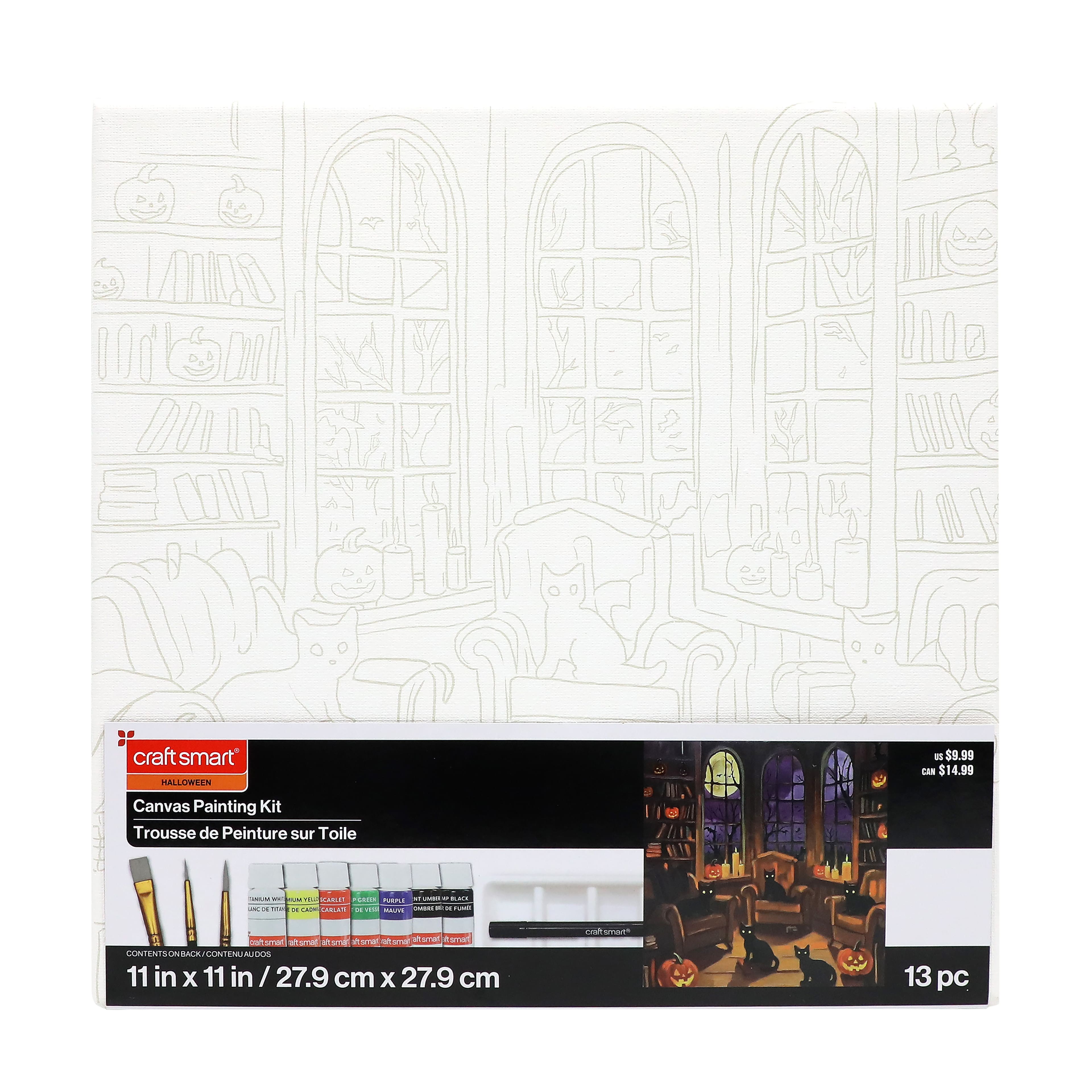 11" x 11" Cat Library Canvas Painting Kit by Craft Smart®