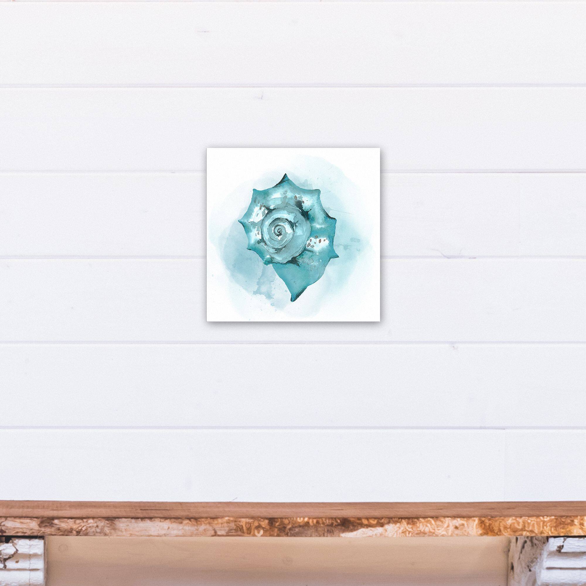 Blue Seashell 12" x 12" Canvas Wall Art