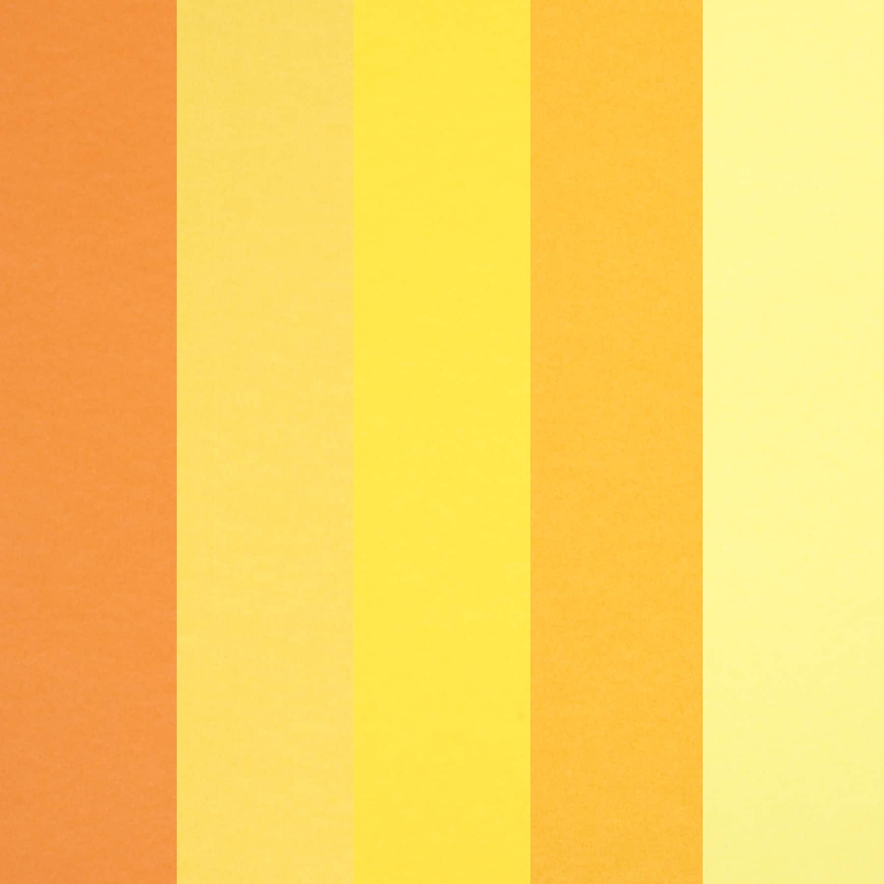 8 Packs: 120 ct. (960 total) 8.5" x 11" Mixed 24lb. Solid Core Paper by Recollections™