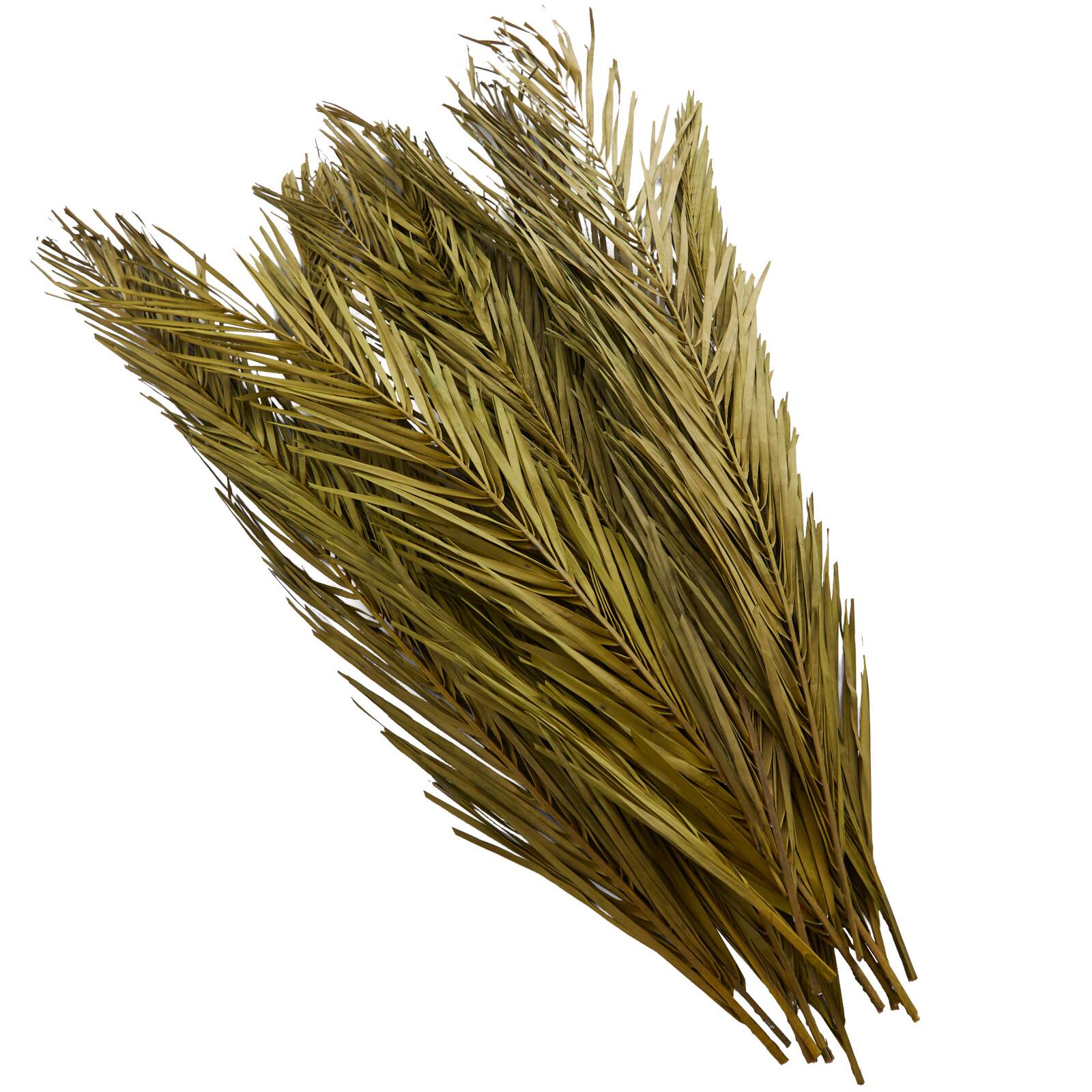 43" Natural Dried Plant Palm Leaf Bunch with Feather-Inspired Stems