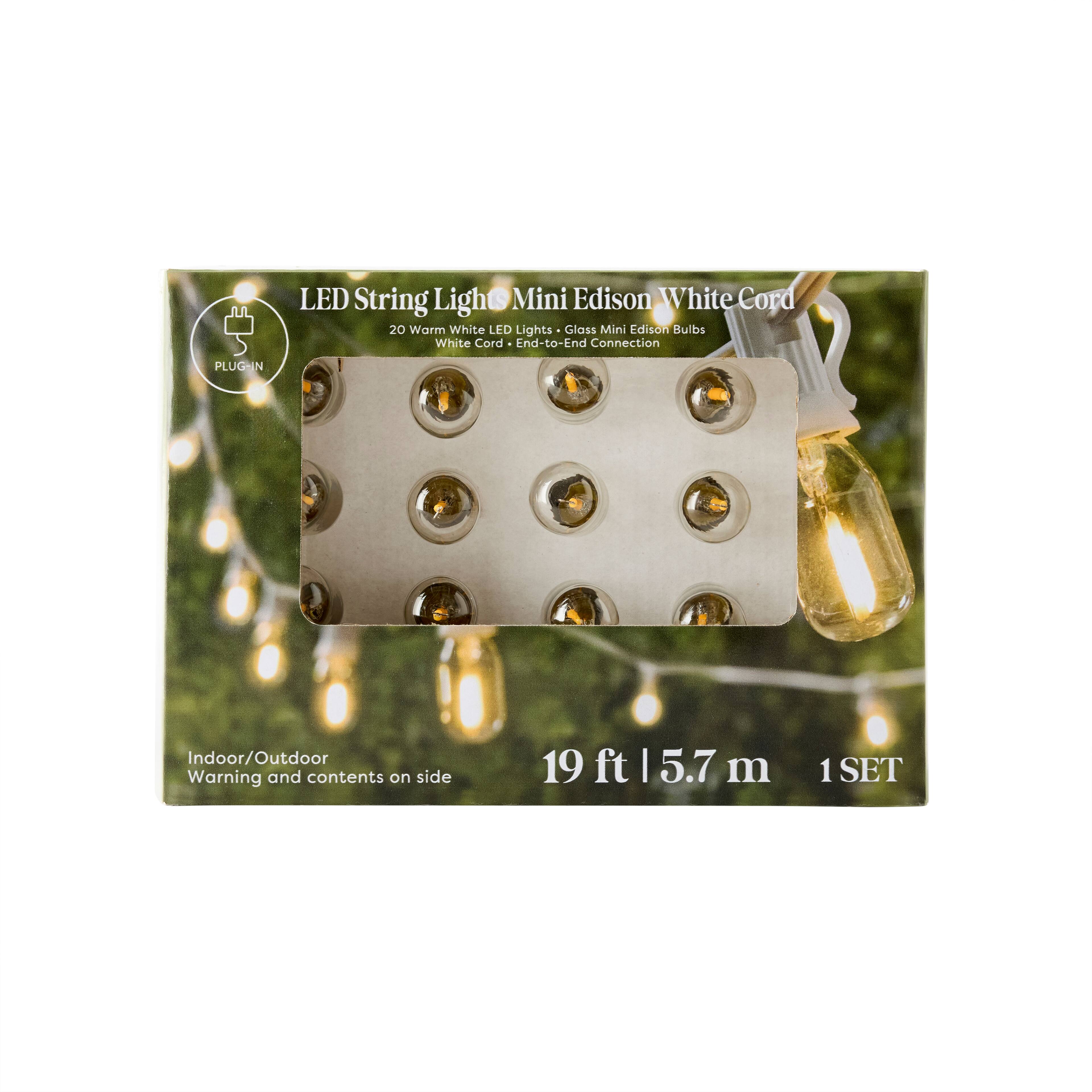 20ct. Mini Edison String Lights with White Cord by Ashland®