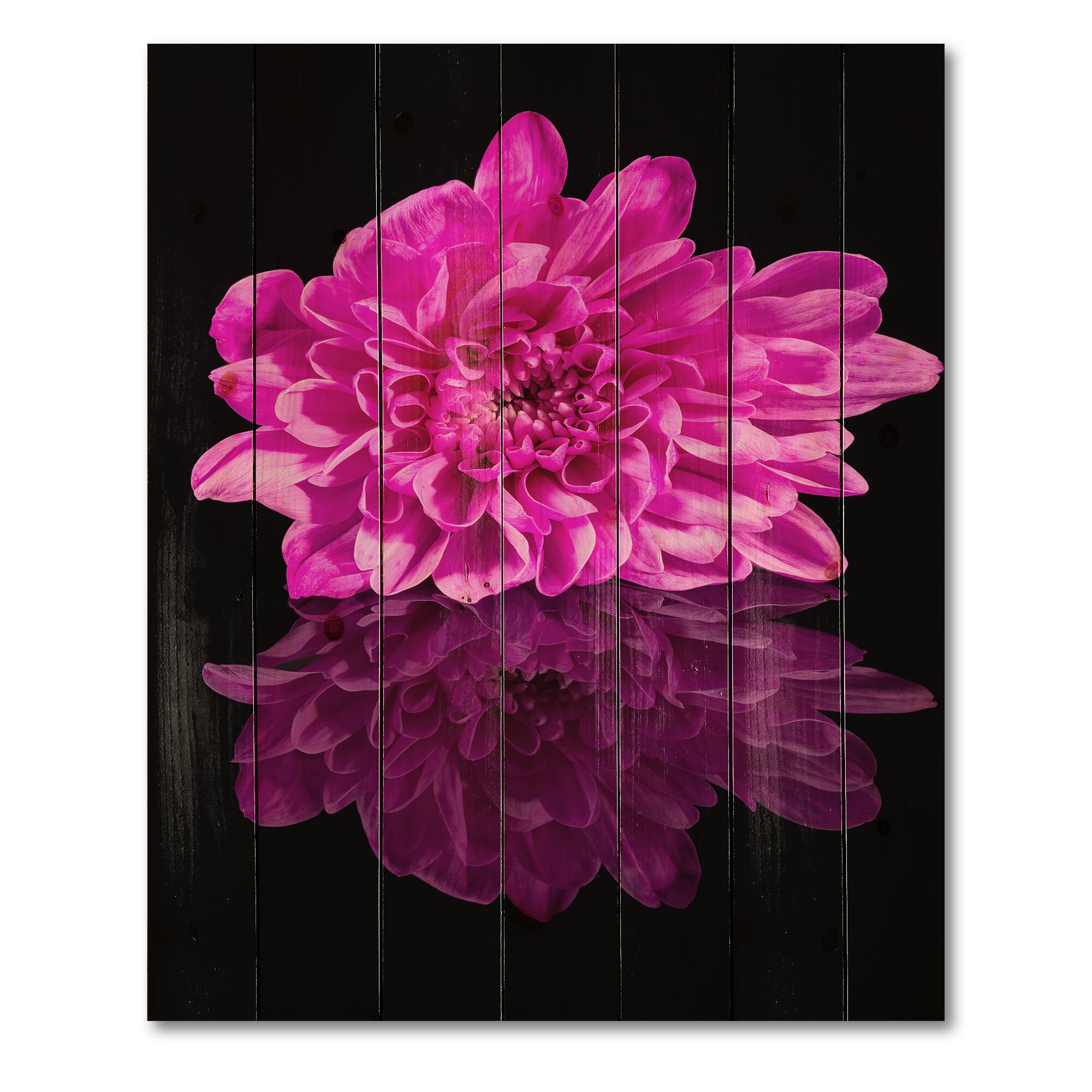 Designart - Single Chrysanthemum Flower On Black Reflection