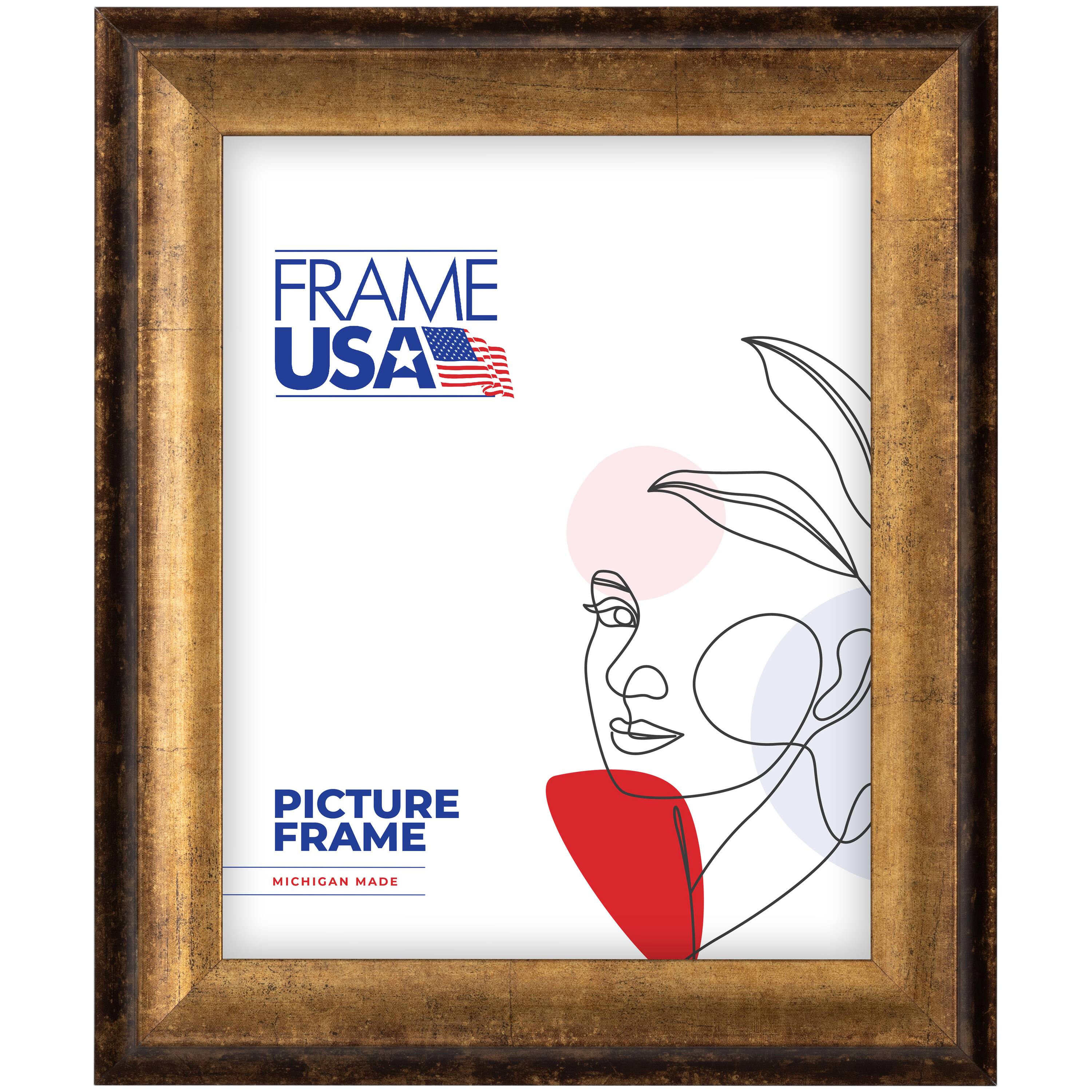 Frame USA Verona Narrow Bronze Single Image Picture Frame
