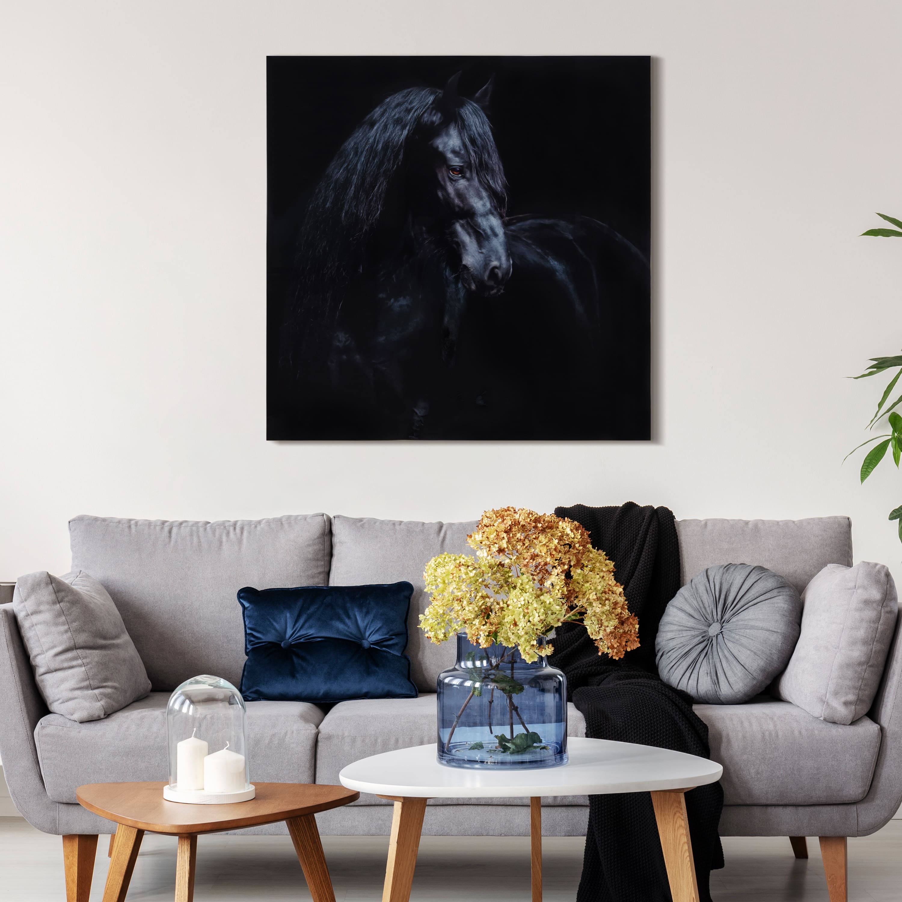 Empire Art Direct 38" x 38" Black Equine Attraction Frameless Printed Tempered Glass Wall Art
