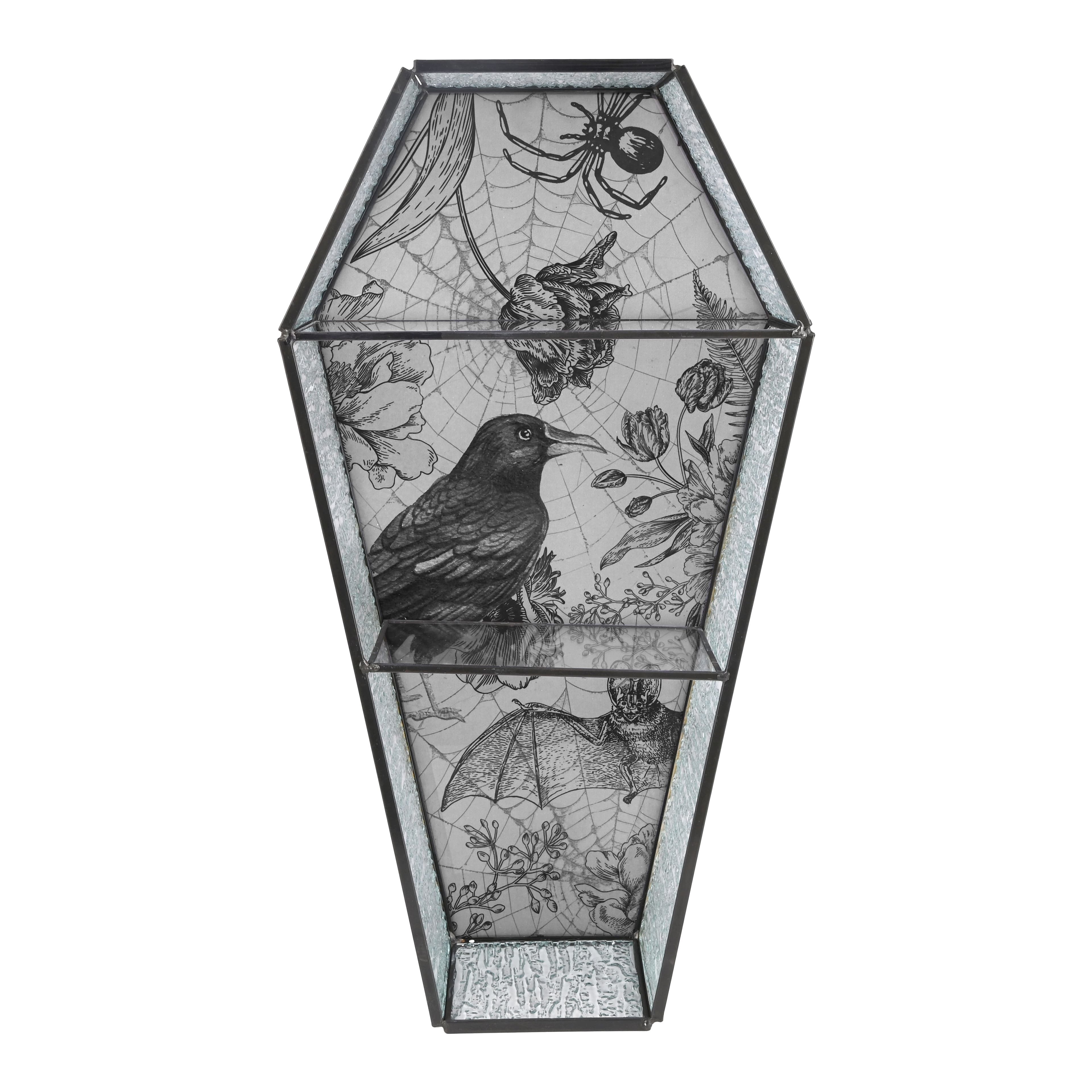 Glass Coffin Shelf by Ashland