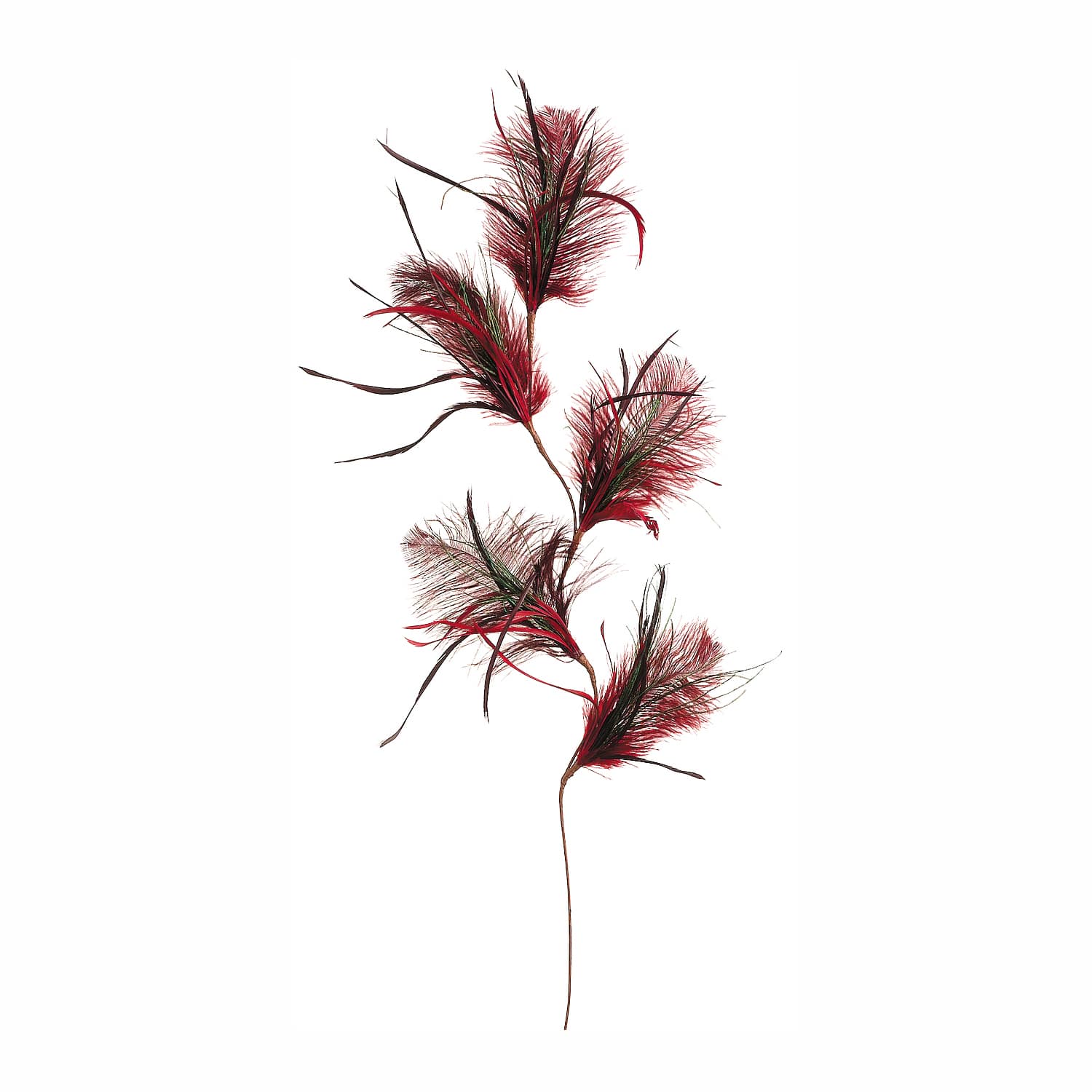 Red Feather Spray