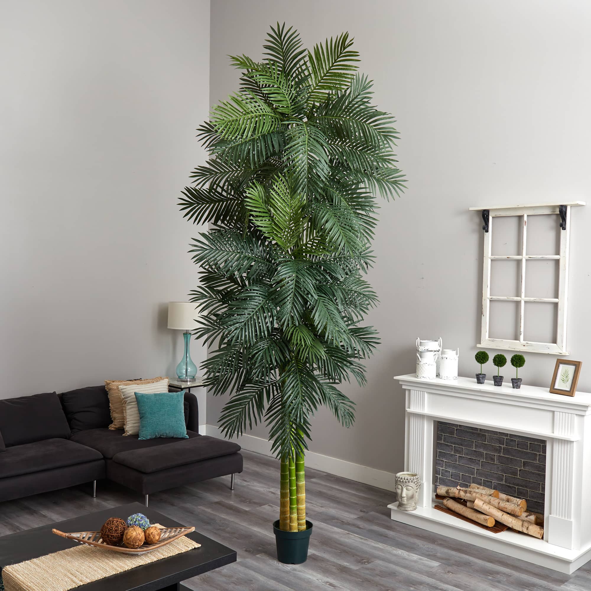 10ft. Potted Triple Stalk Golden Cane Palm Tree