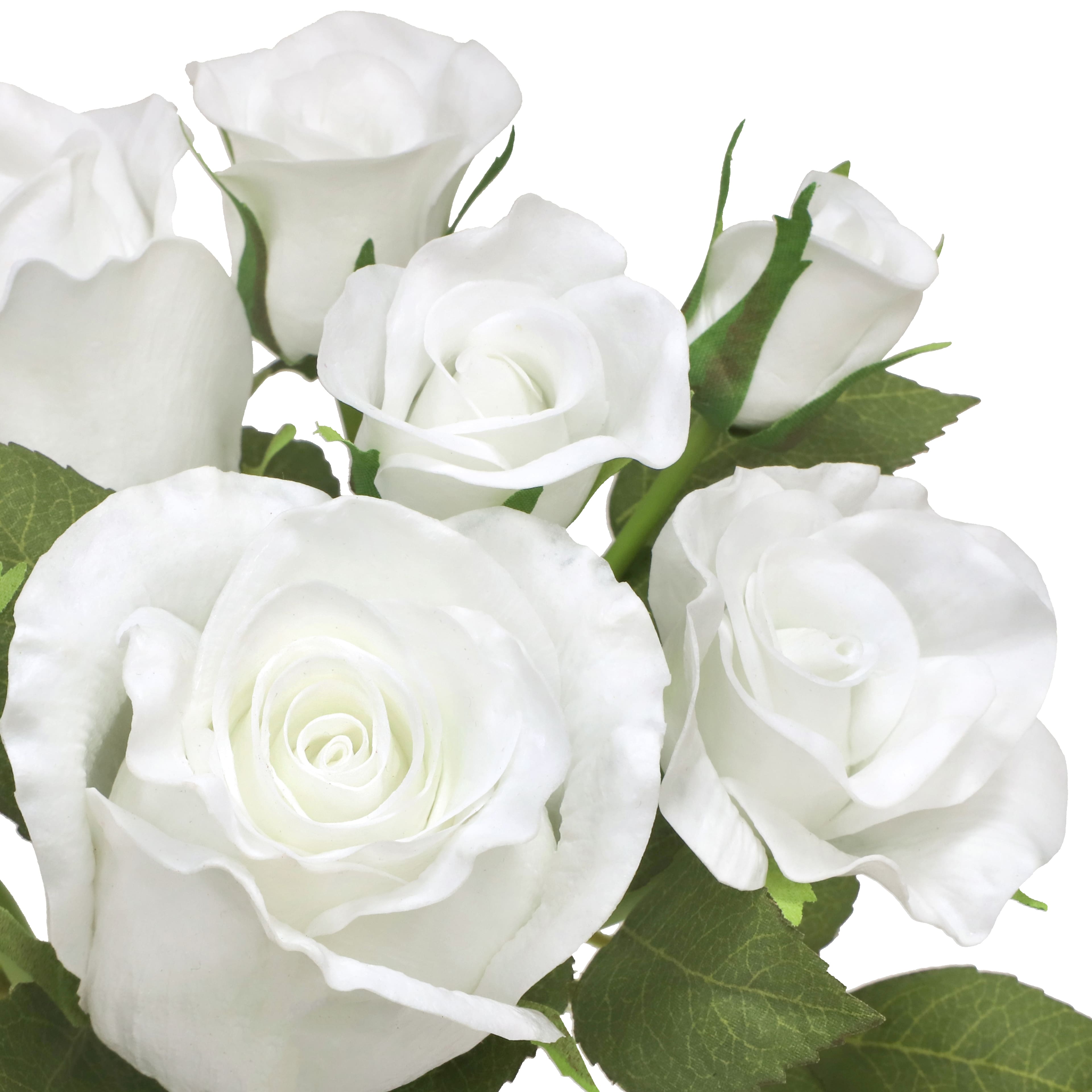 12" White Rose Bush by Ashland®